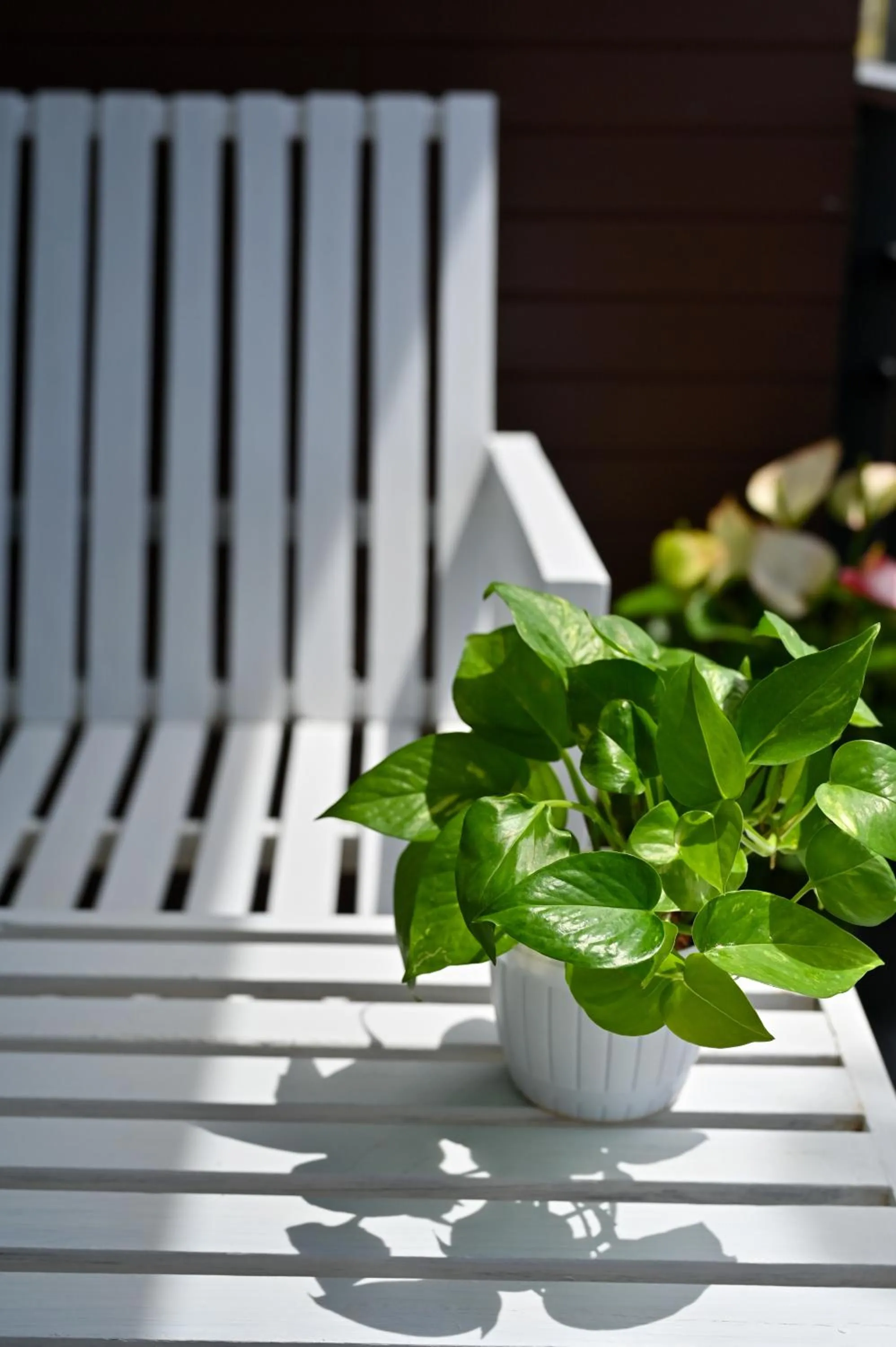 Balcony/Terrace in Sivana Place Phuket