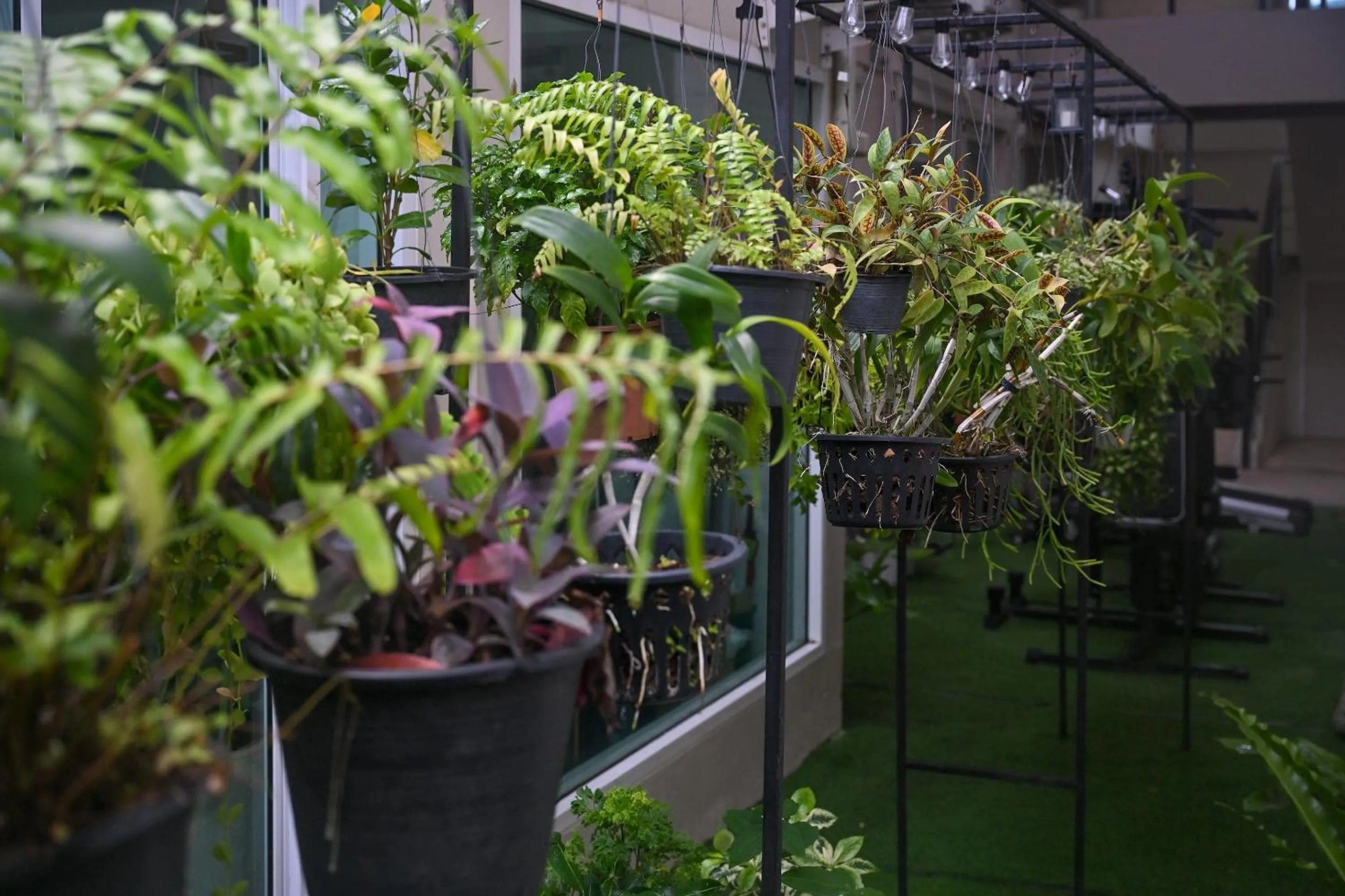 Garden in Sivana Place Phuket