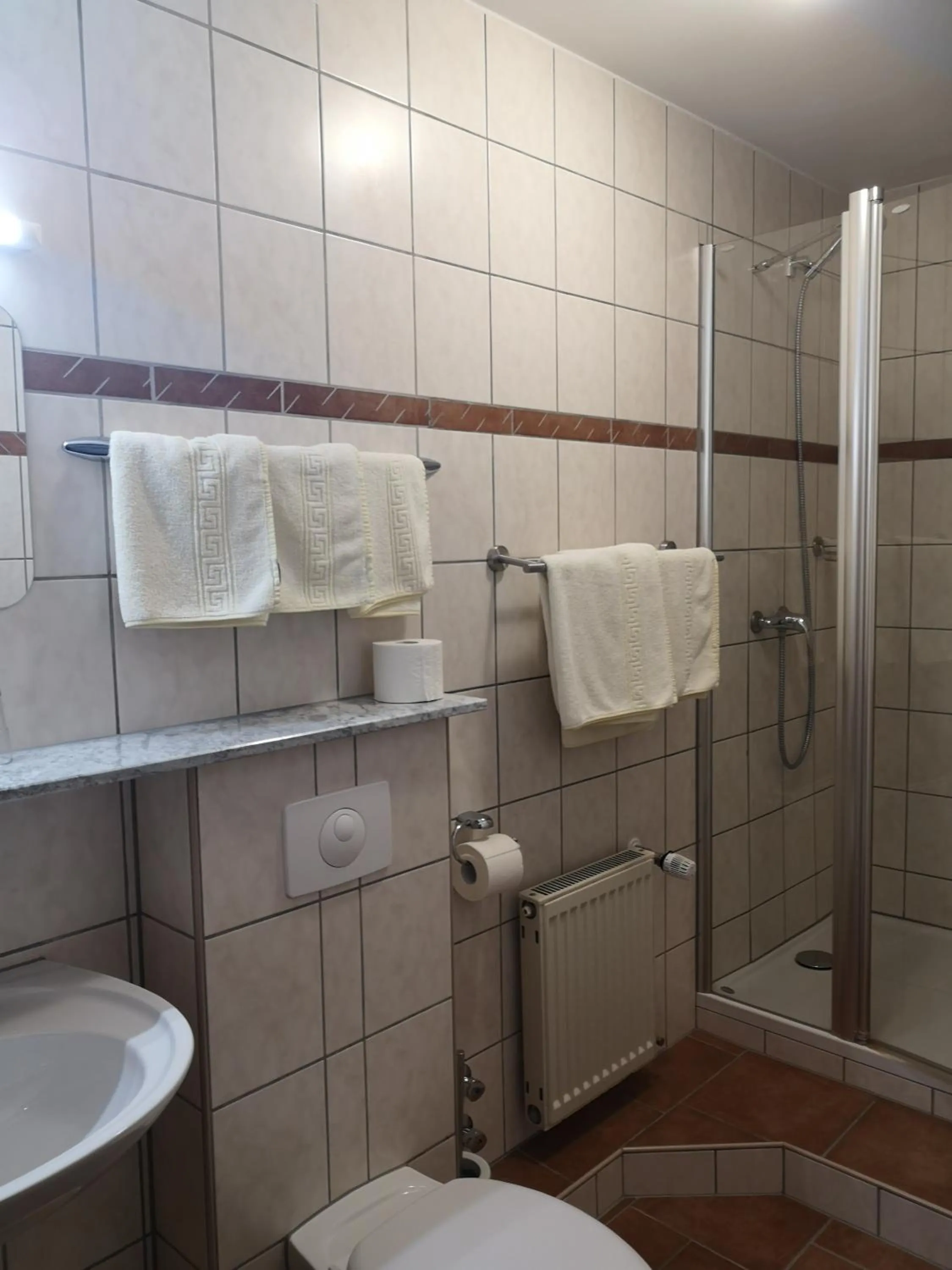 Shower in Hotel Köln-Bonn