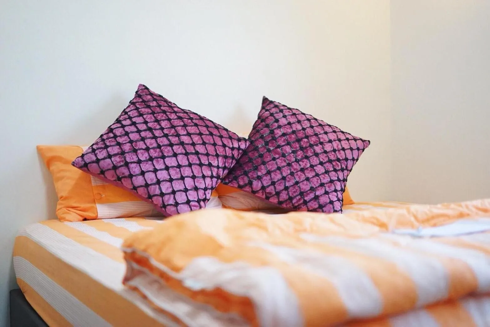 Bed in HP House Cafe'