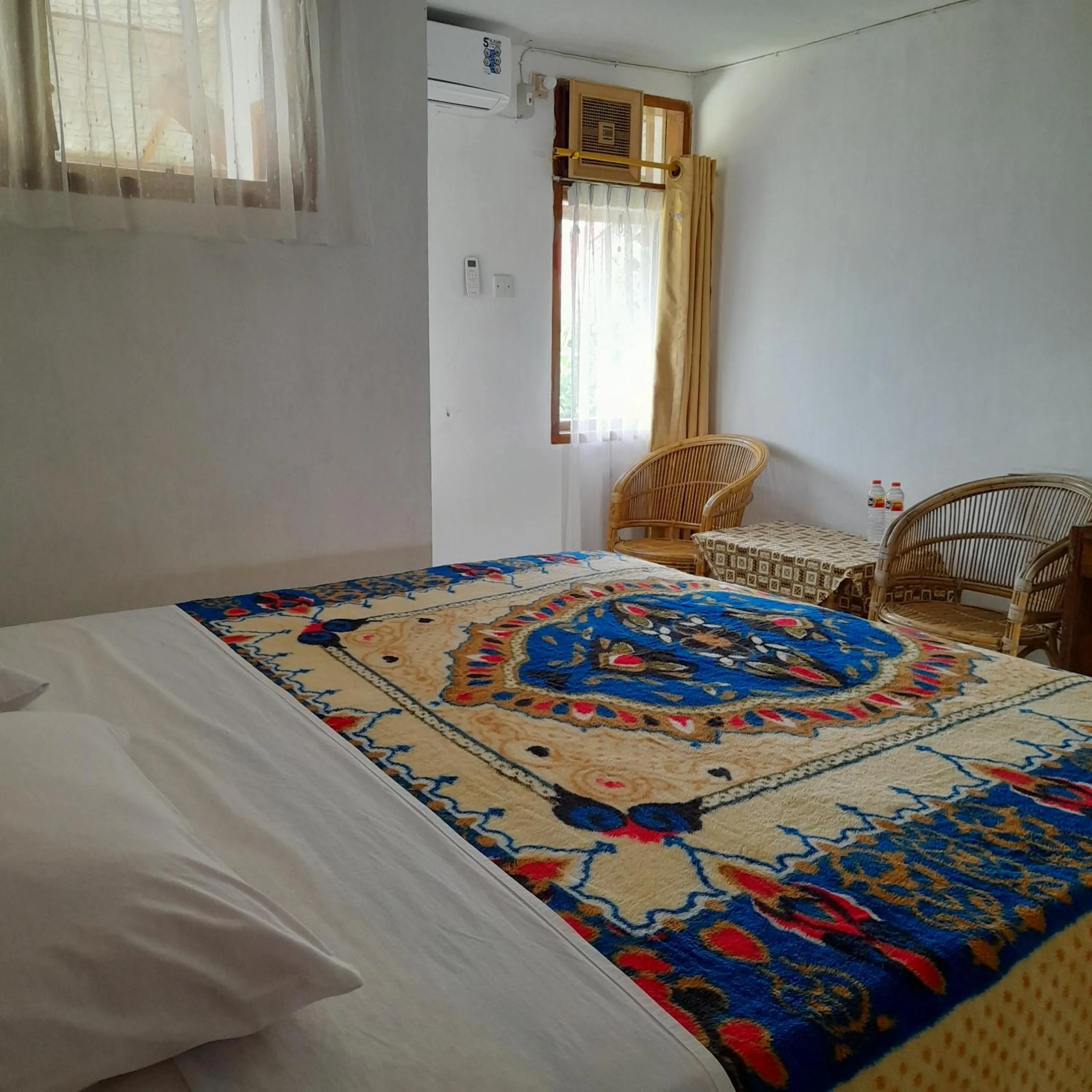 Deluxe Double or Twin Room in Hotel Pison