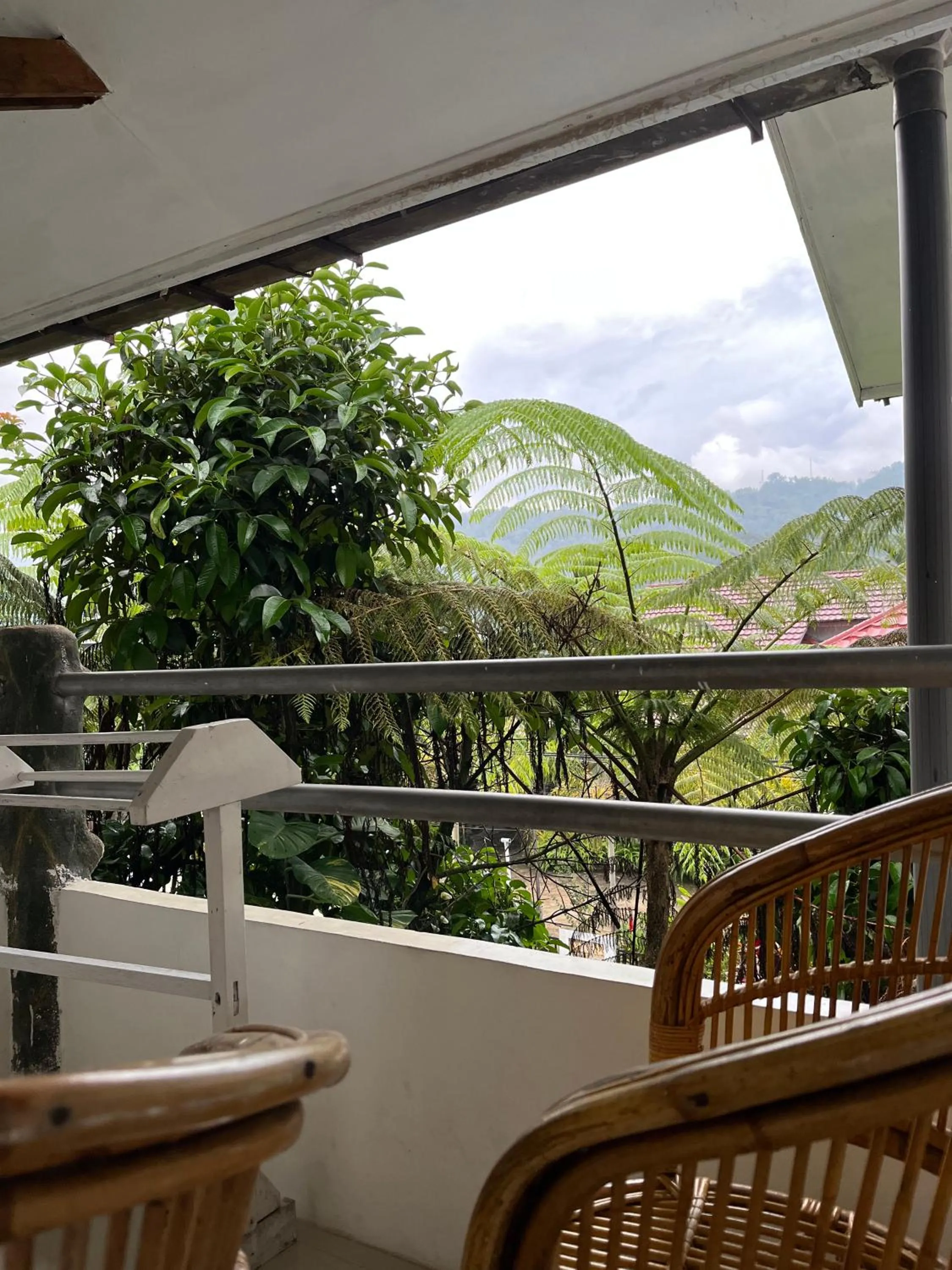 Balcony/Terrace in Hotel Pison