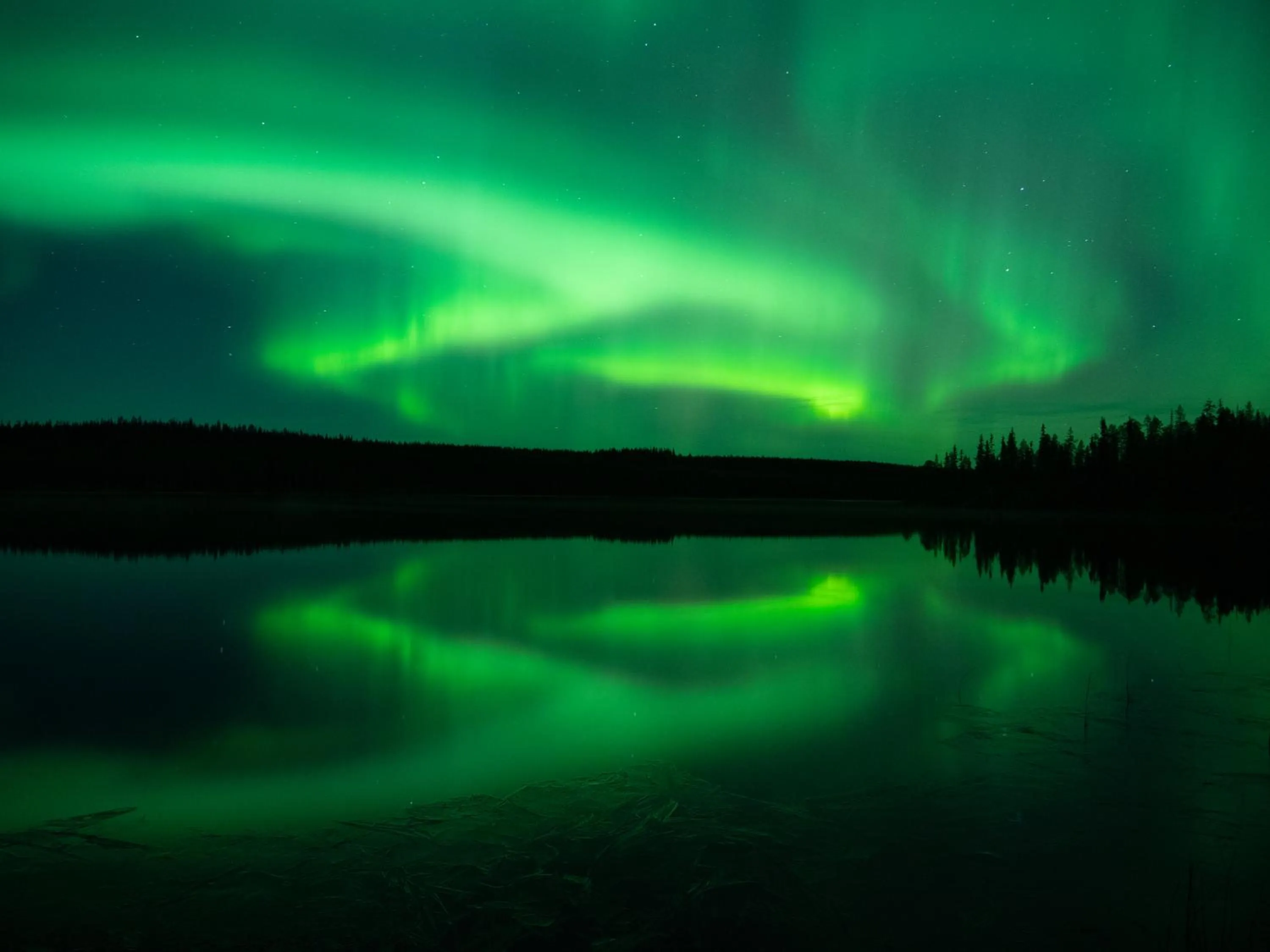 Isokenkäisten Klubi - Wilderness Lodge