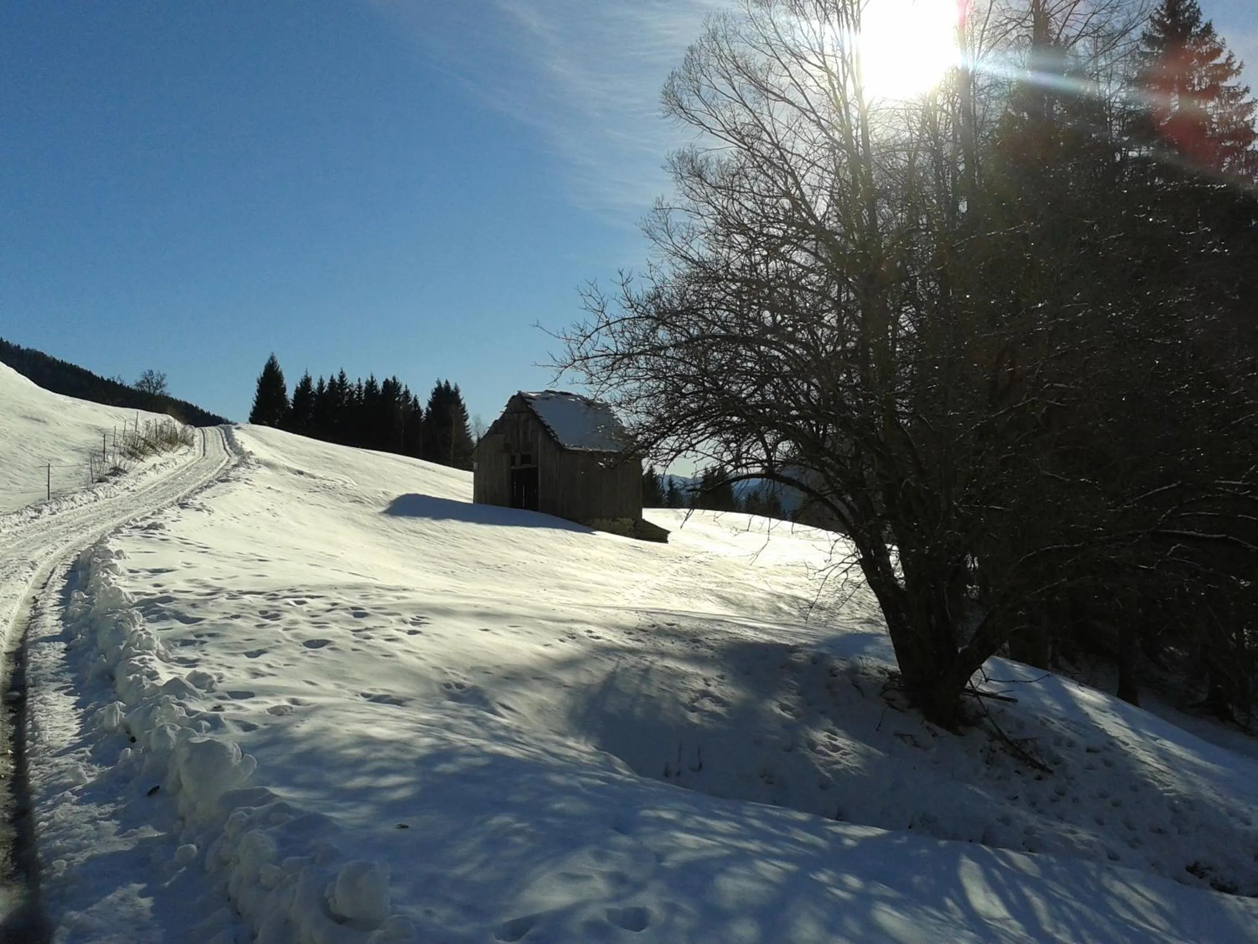 Natural landscape in Grand Hotel Gortani
