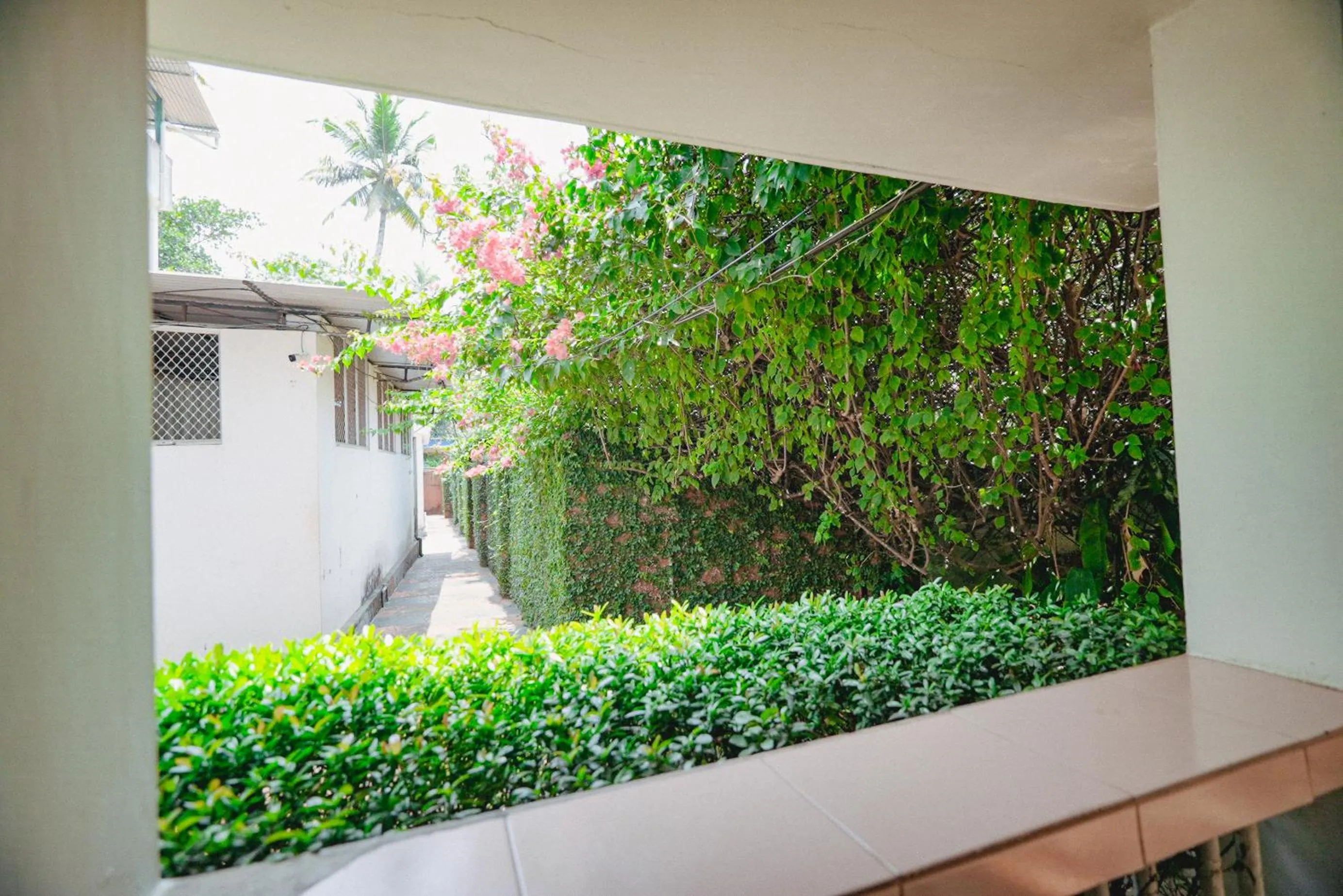 Garden in Raja Park Beach Resort