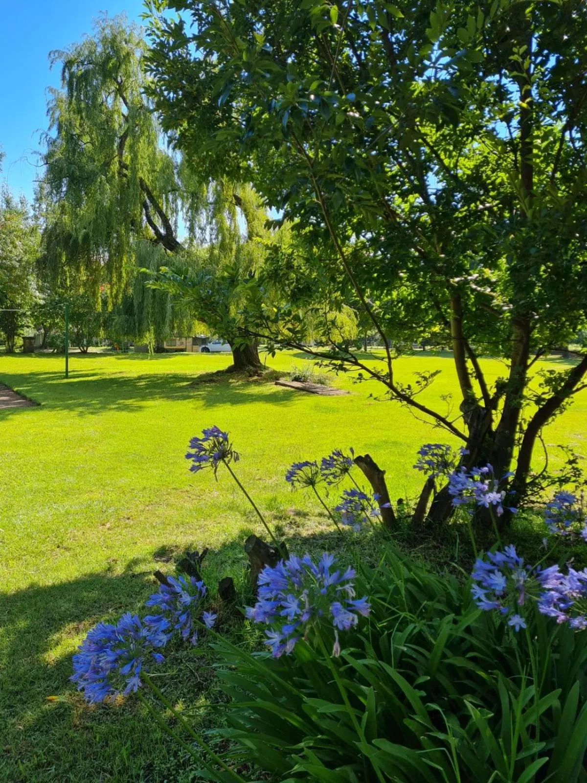 Day in Little Rock Resort