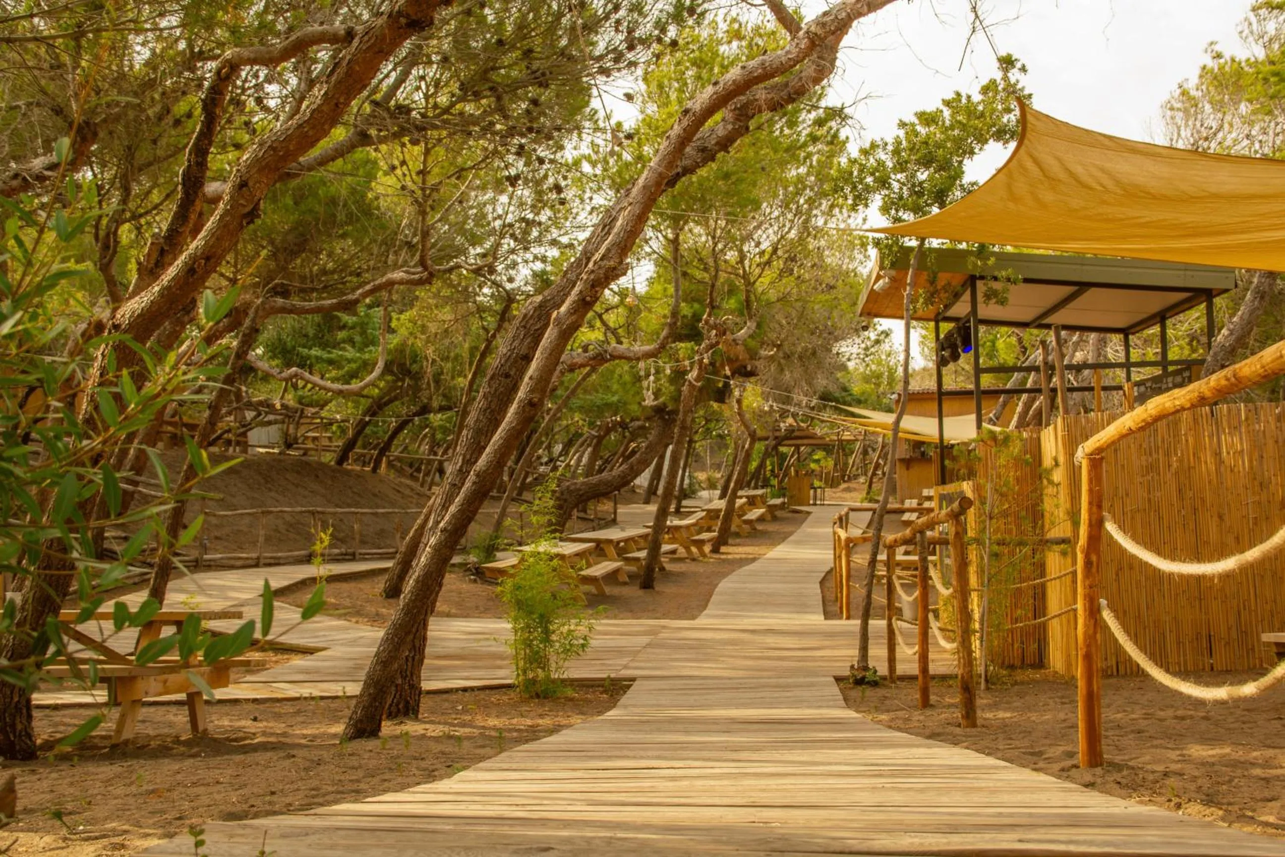 Natural landscape in CSA Hotel Beach & Park