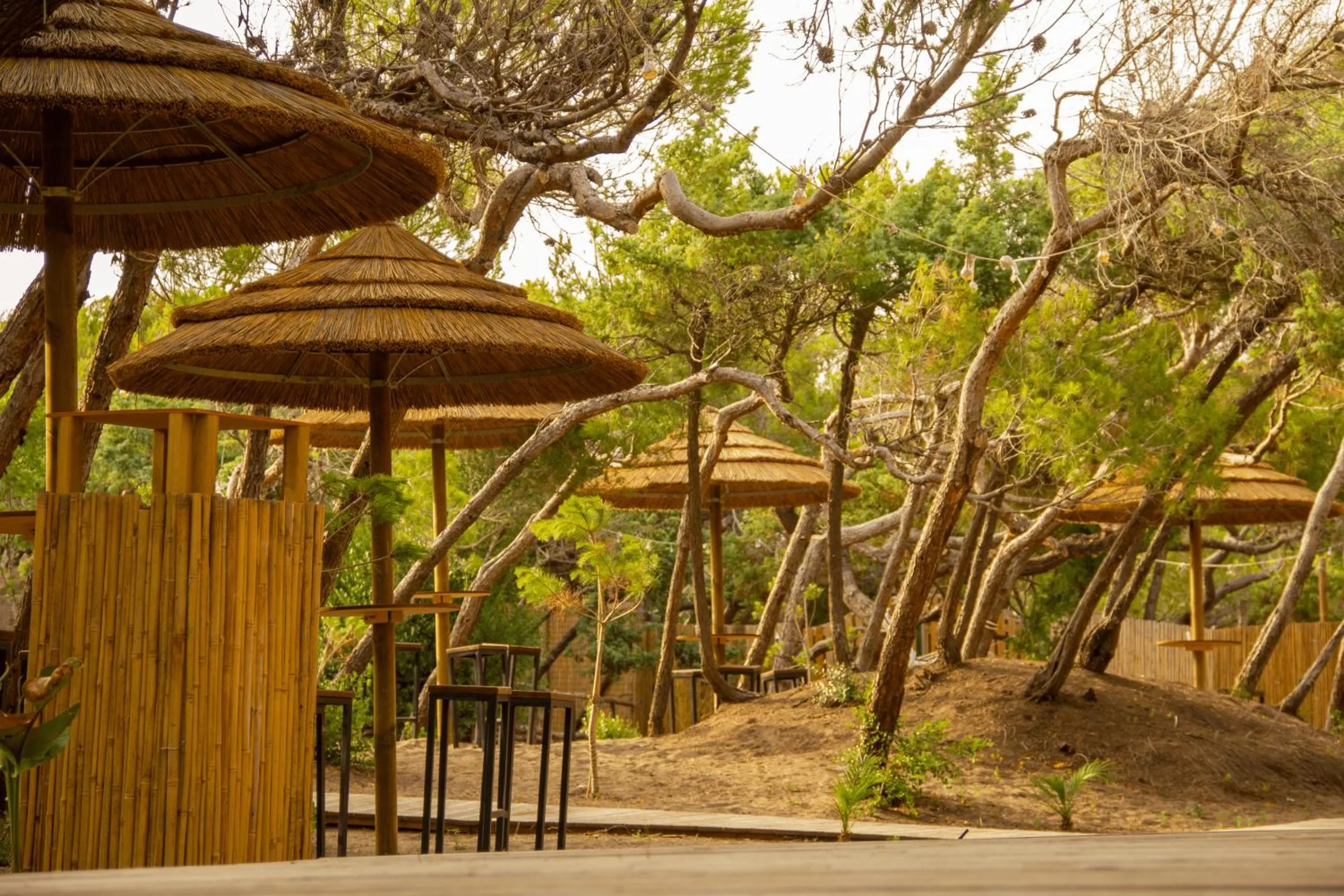Natural landscape in CSA Hotel Beach & Park
