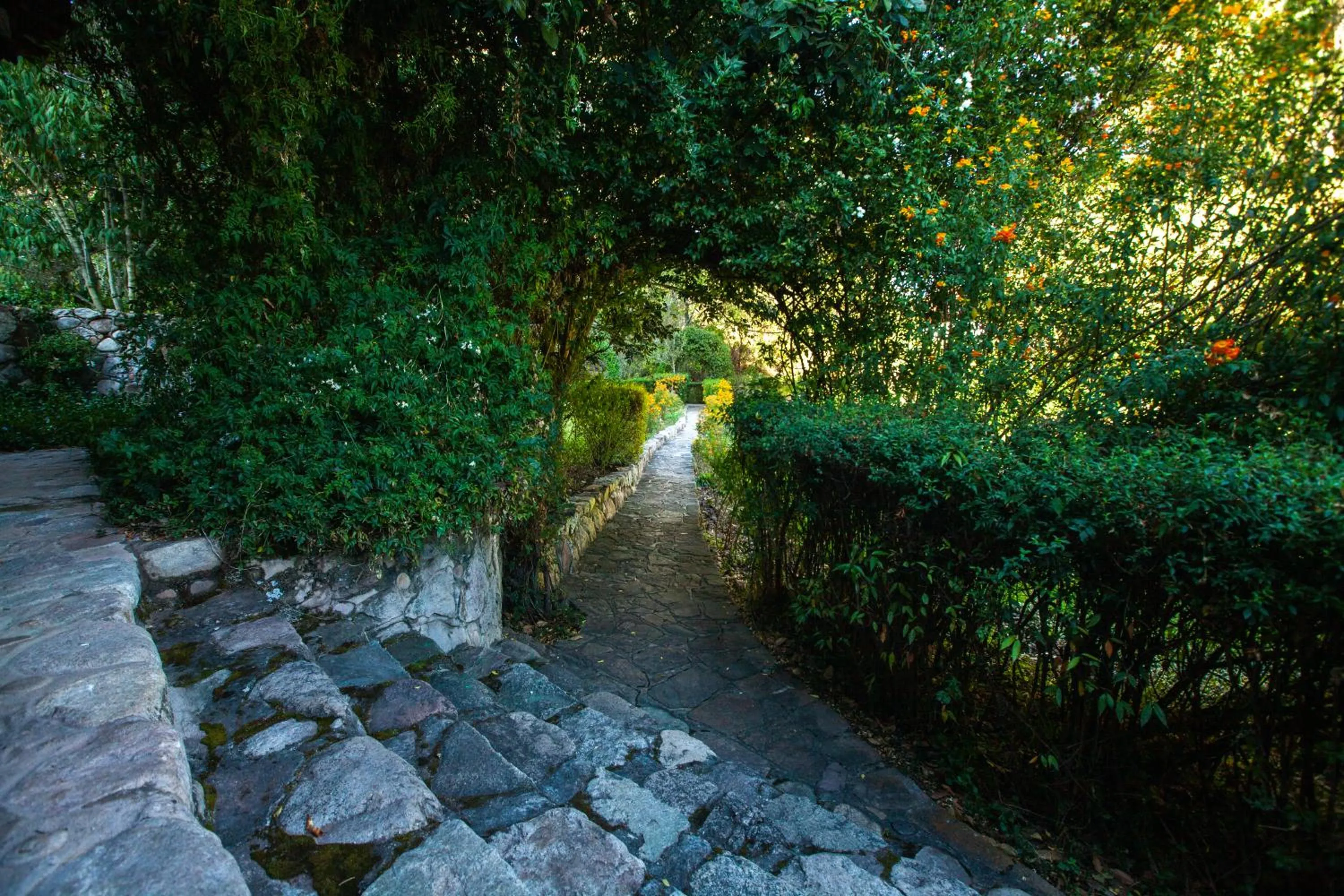 Natural landscape in Las Casitas del Arco Iris