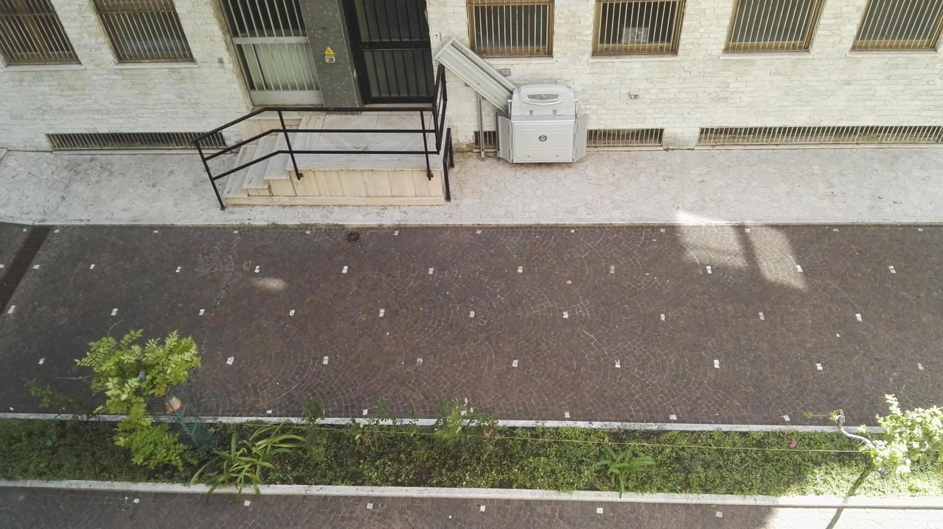 Garden view in Luciano Laterani Guest House