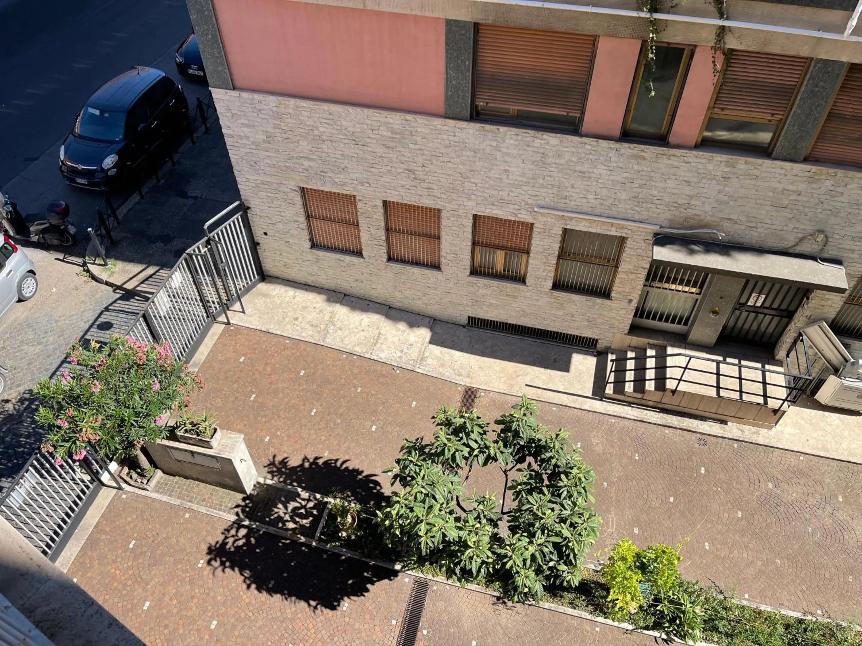 Garden view in Luciano Laterani Guest House