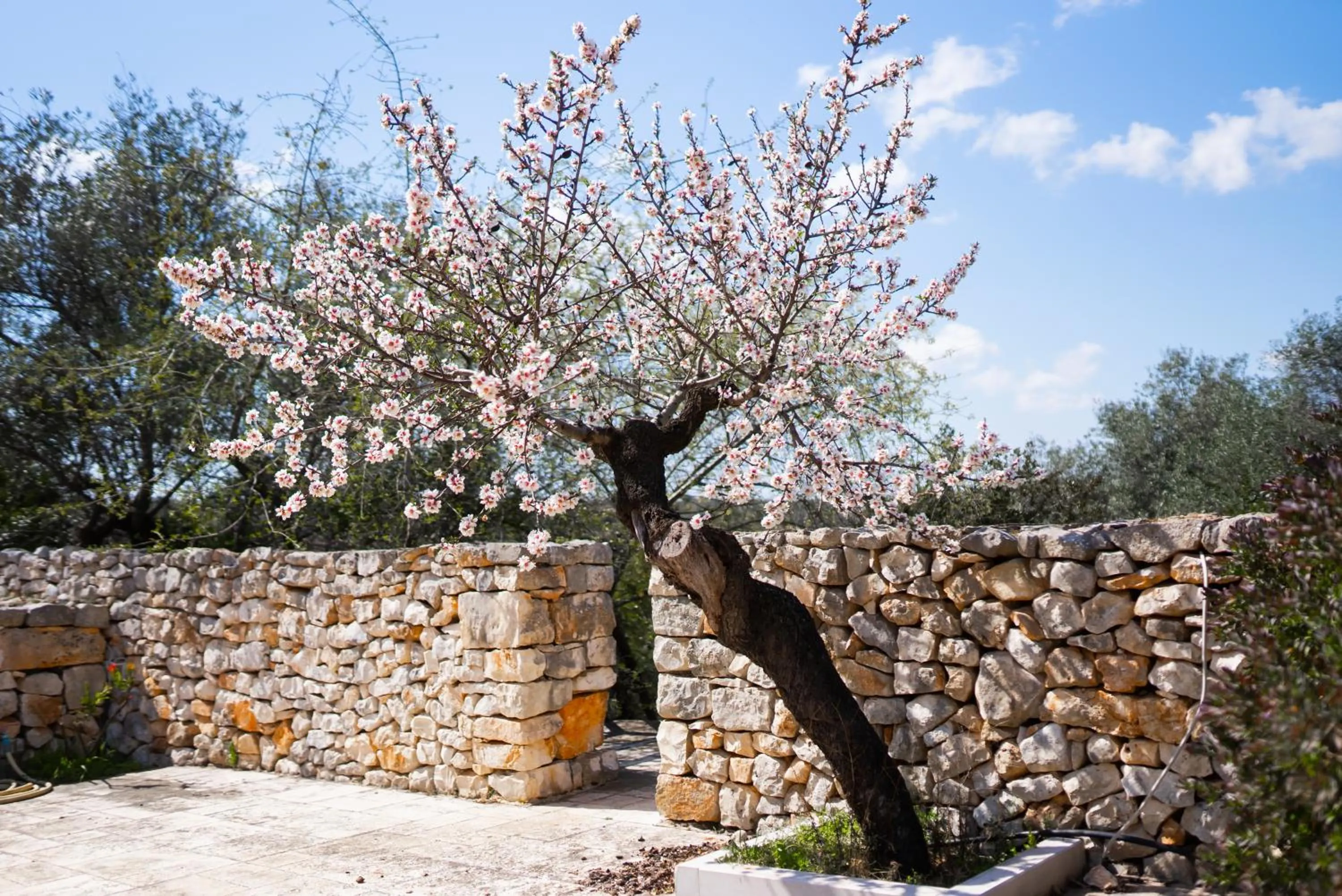Masseria Montepaolo Dimora di Charme