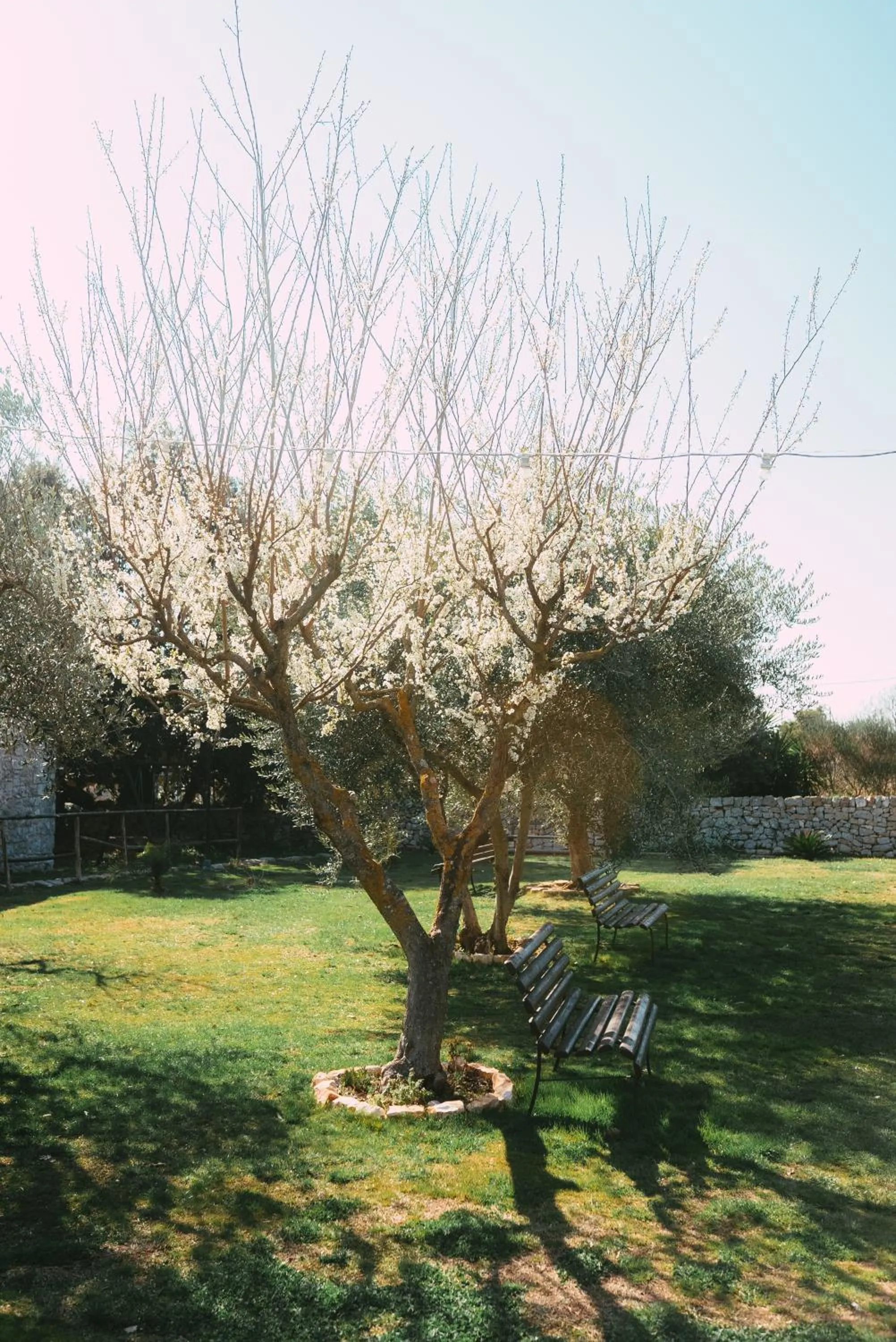 Masseria Montepaolo Dimora di Charme
