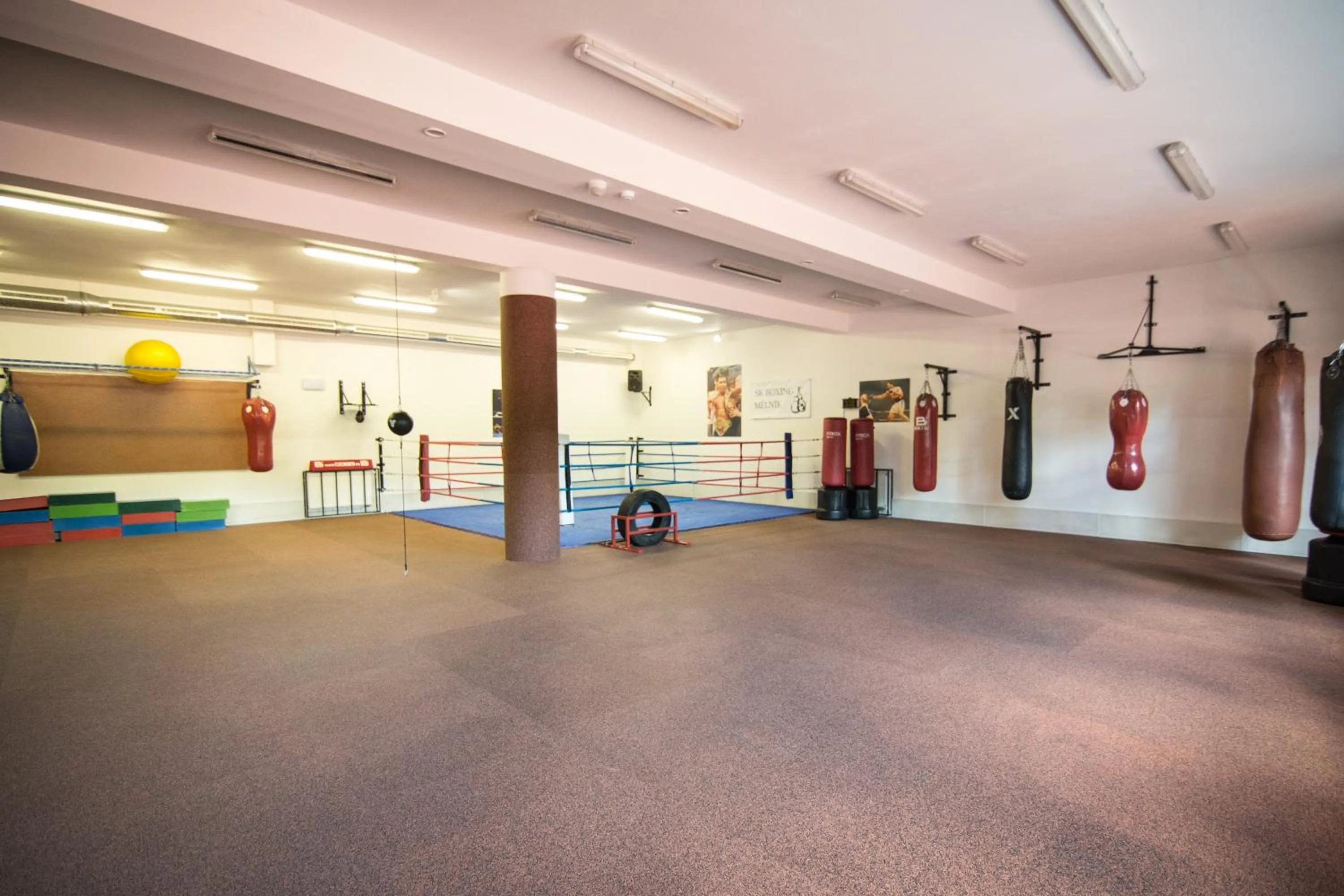 Fitness centre/facilities in Hotel Olympionik