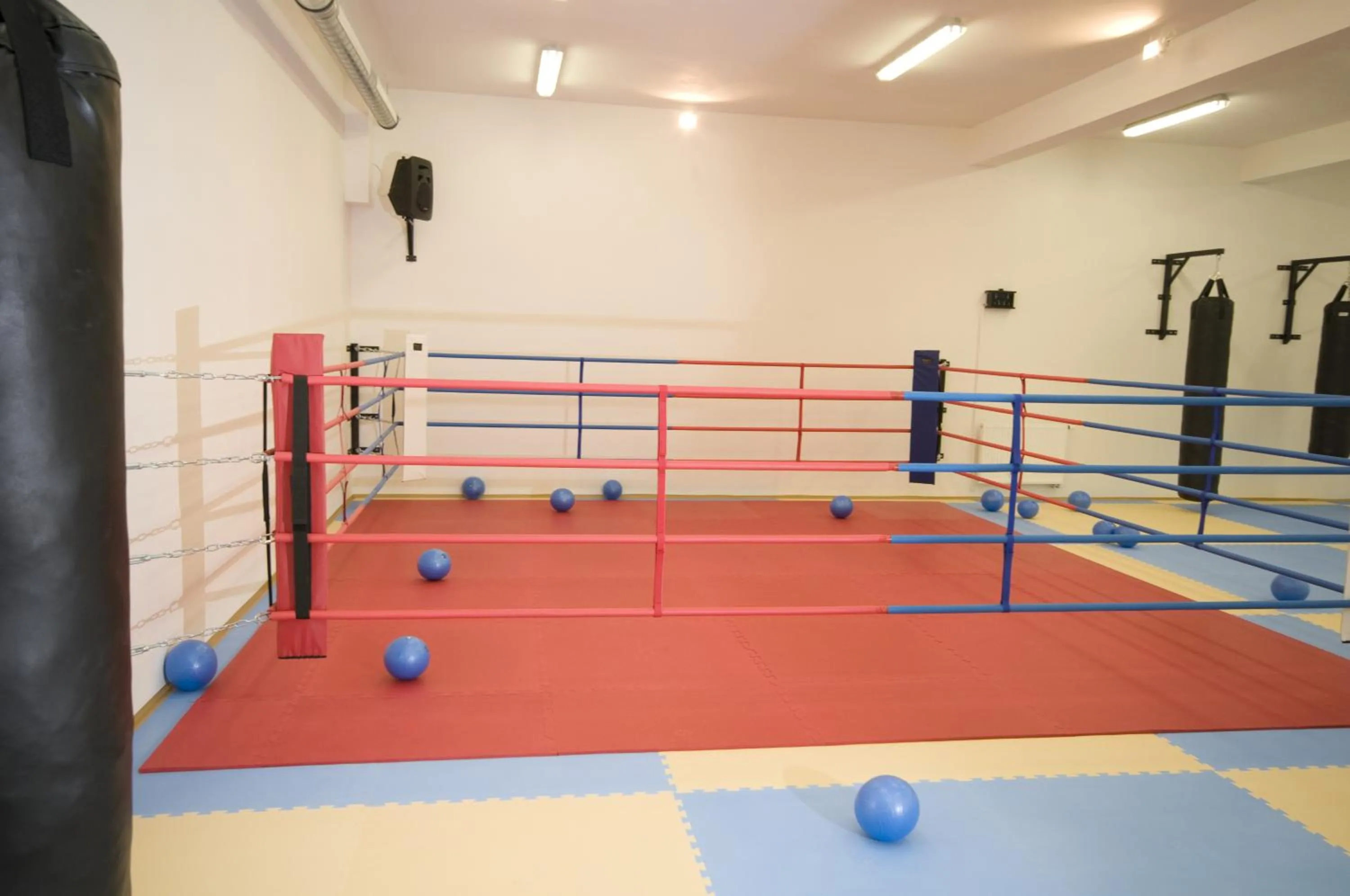 Fitness centre/facilities in Hotel Olympionik