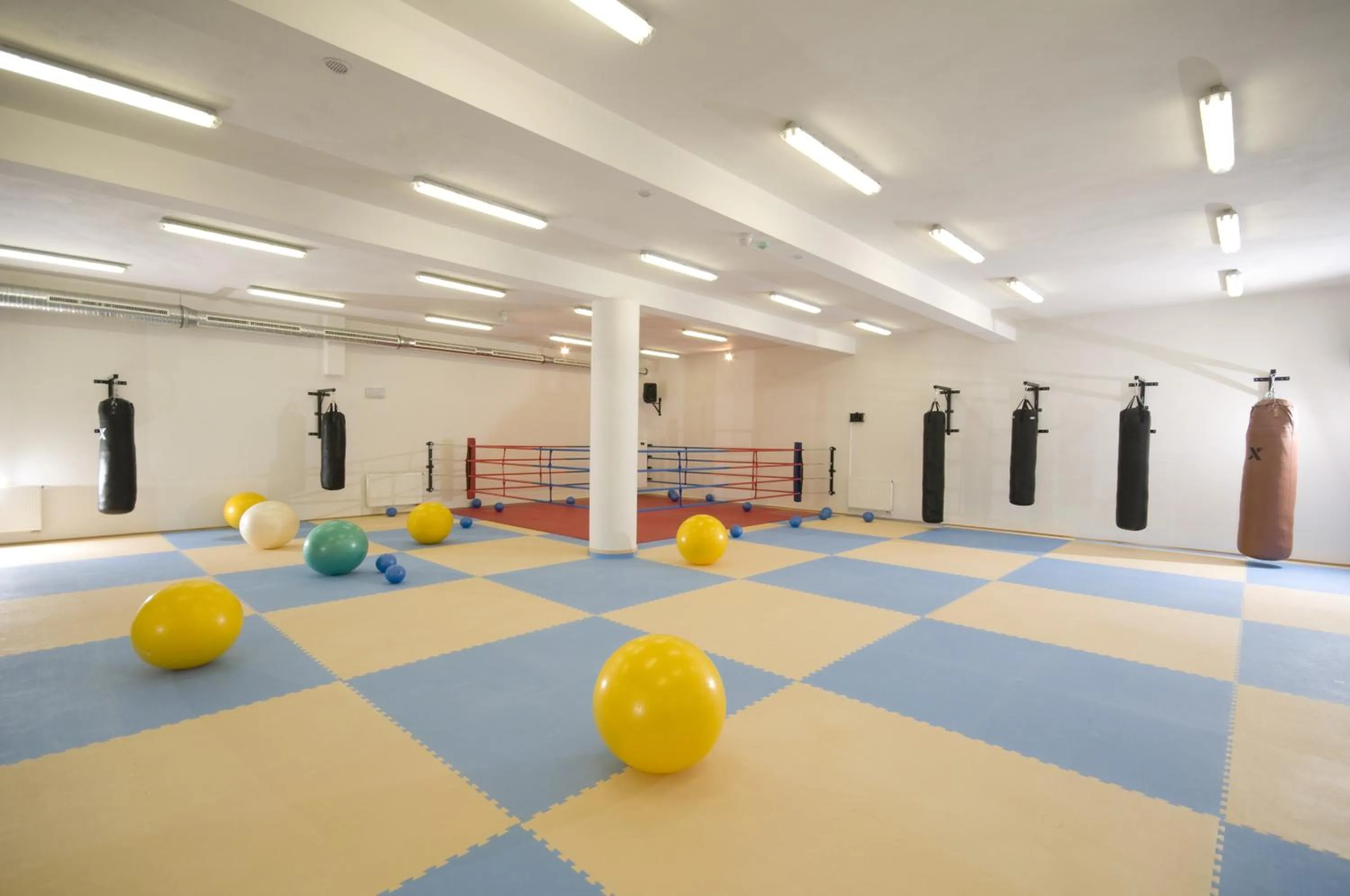 Fitness centre/facilities in Hotel Olympionik