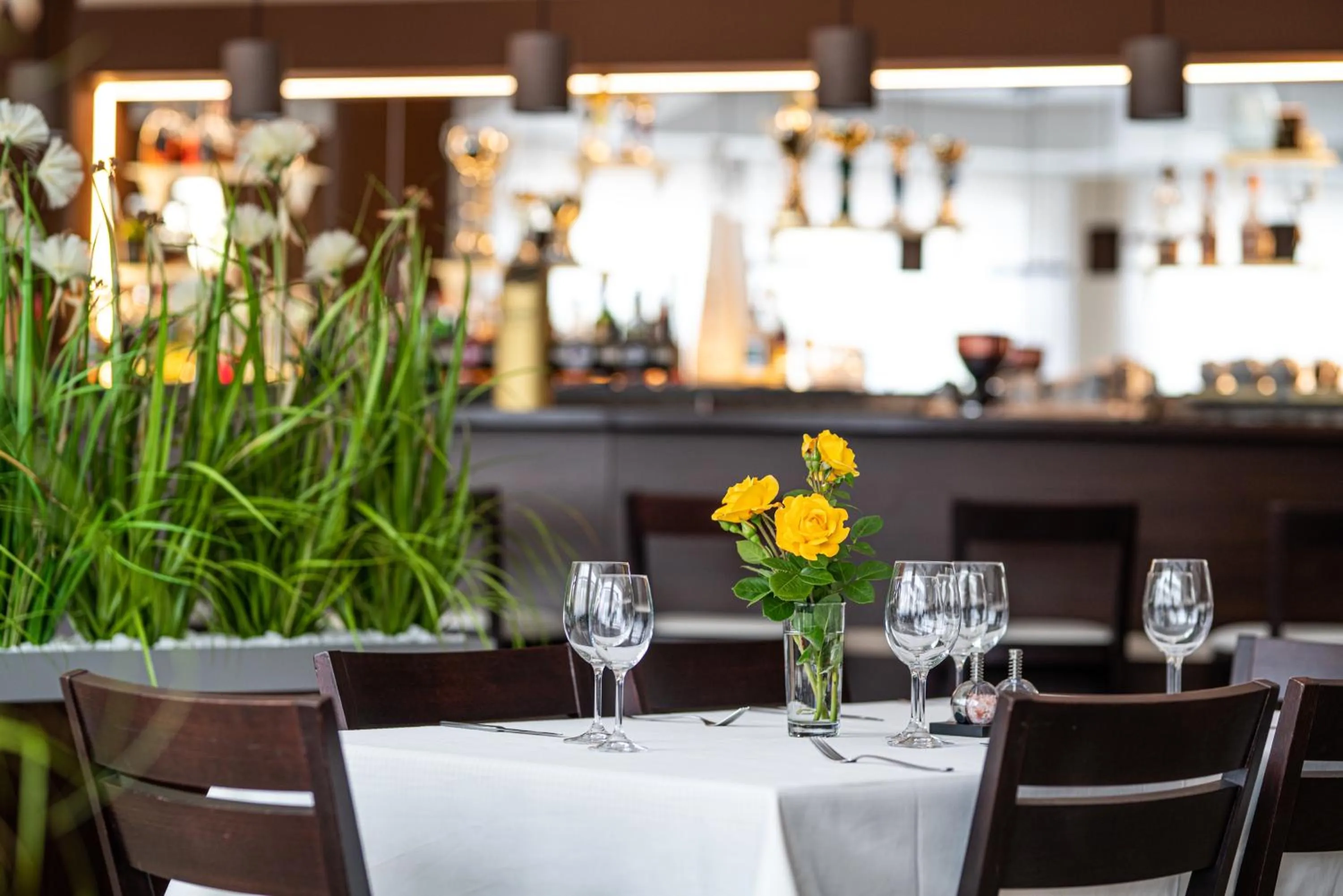 Restaurant/places to eat in Hotel Olympionik