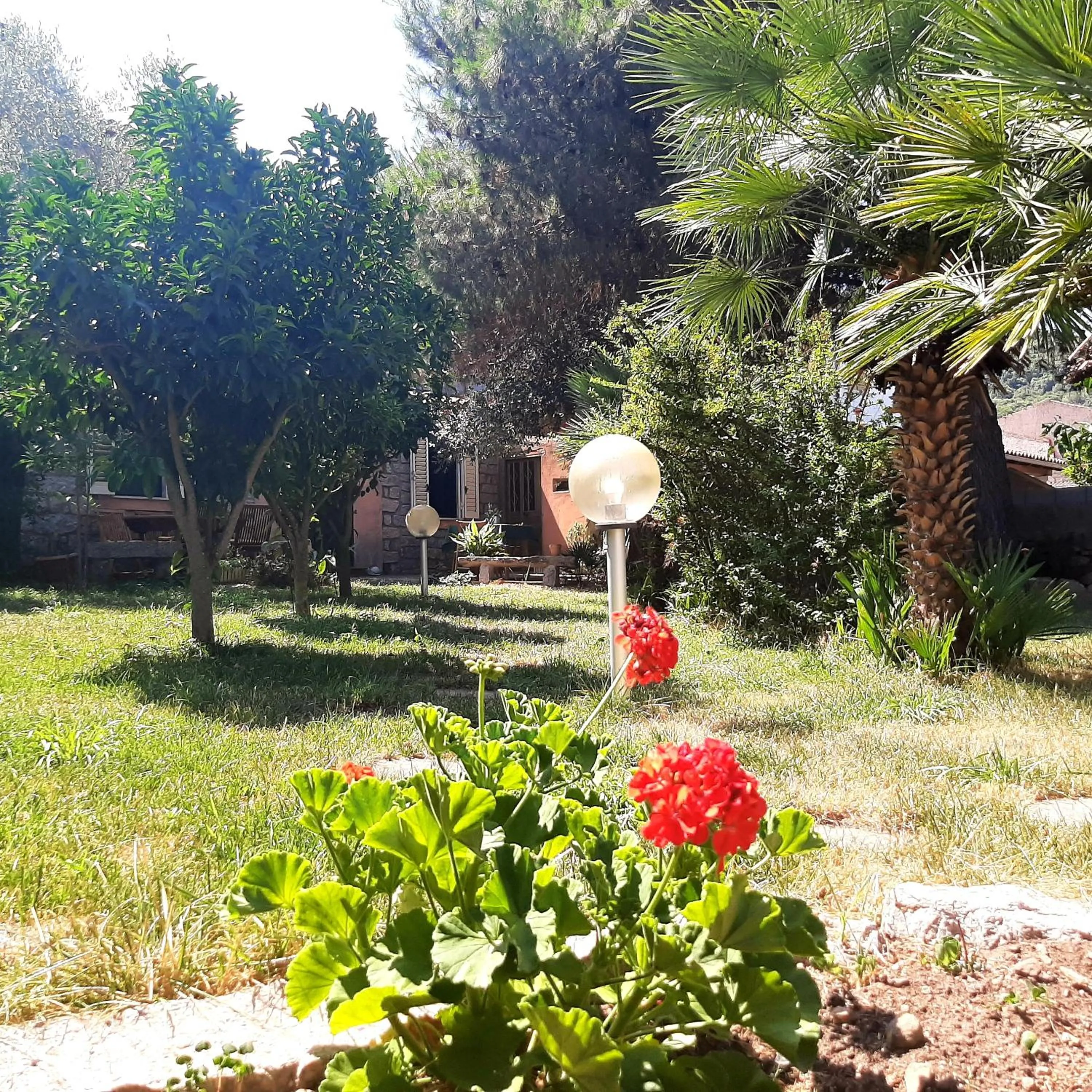 B&B L'amaca della felicità