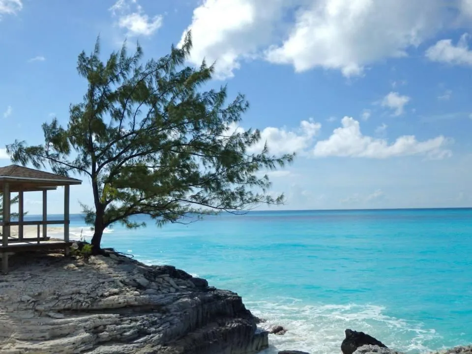 Property building in Stella Maris Resort Club