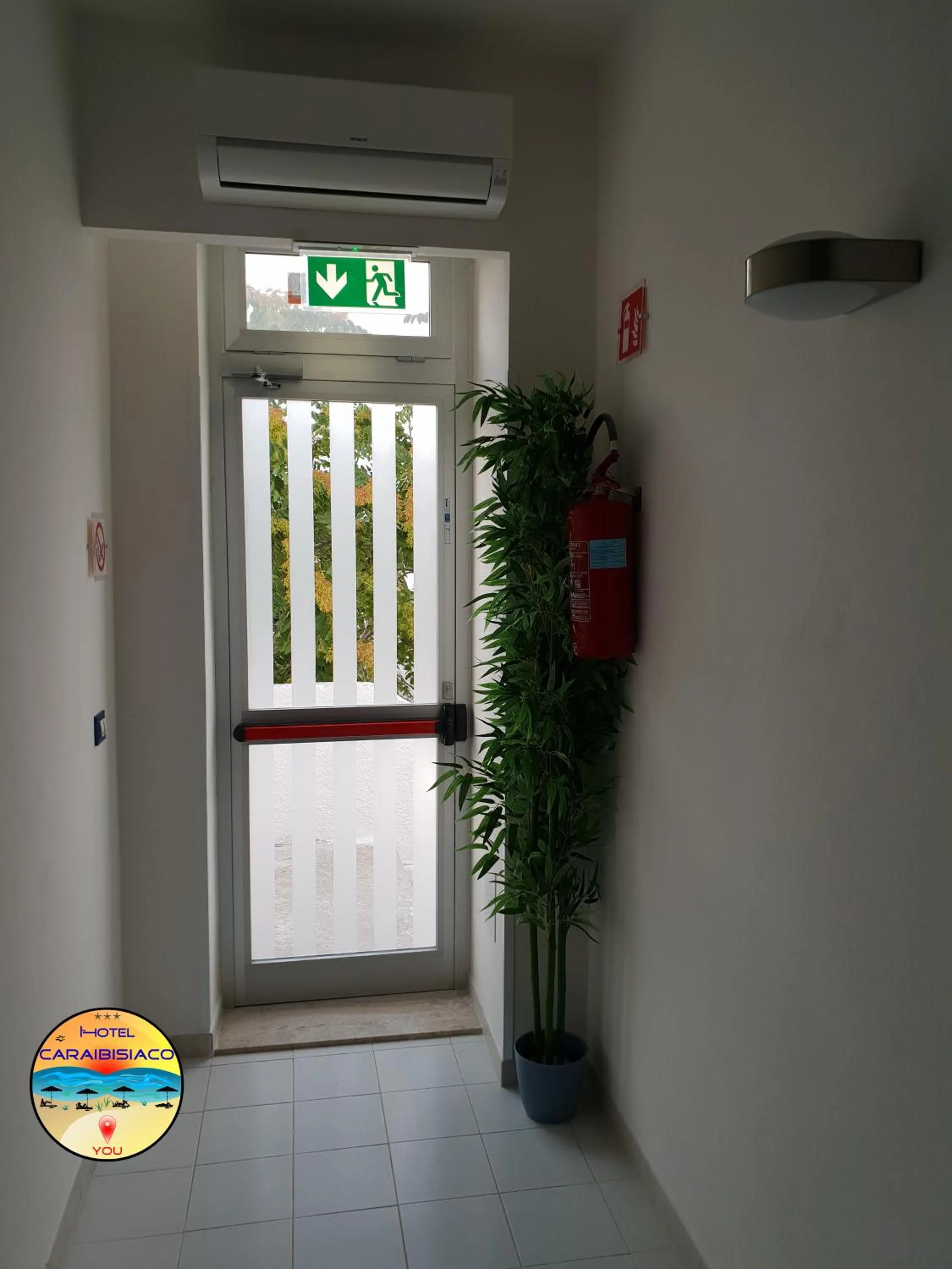 Area and facilities in Hotel Caraibisiaco sul mare