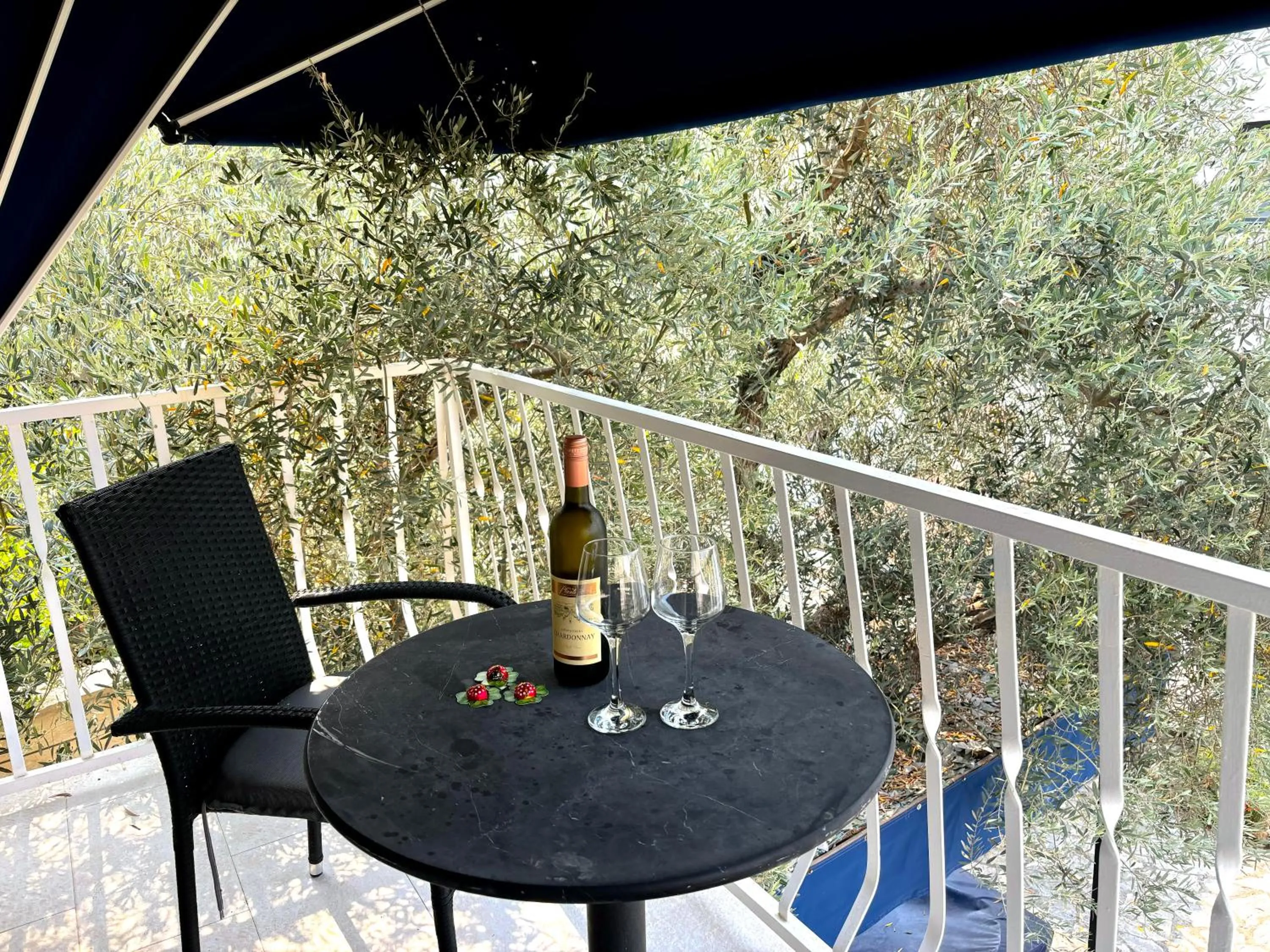 Villa Mona 2