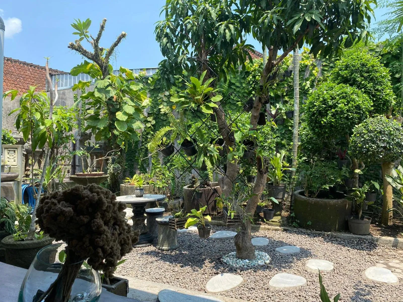 Garden in Coliving Bali SWEET HOME Kost Lengkap di Tabanan Kota