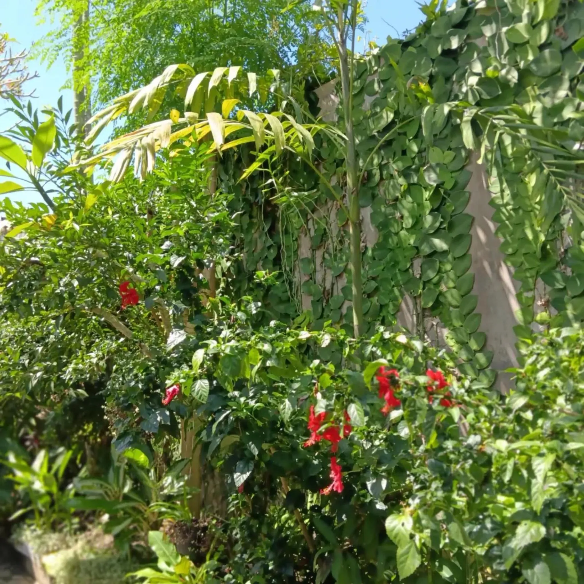 Day in Coliving Bali SWEET HOME Kost Lengkap di Tabanan Kota