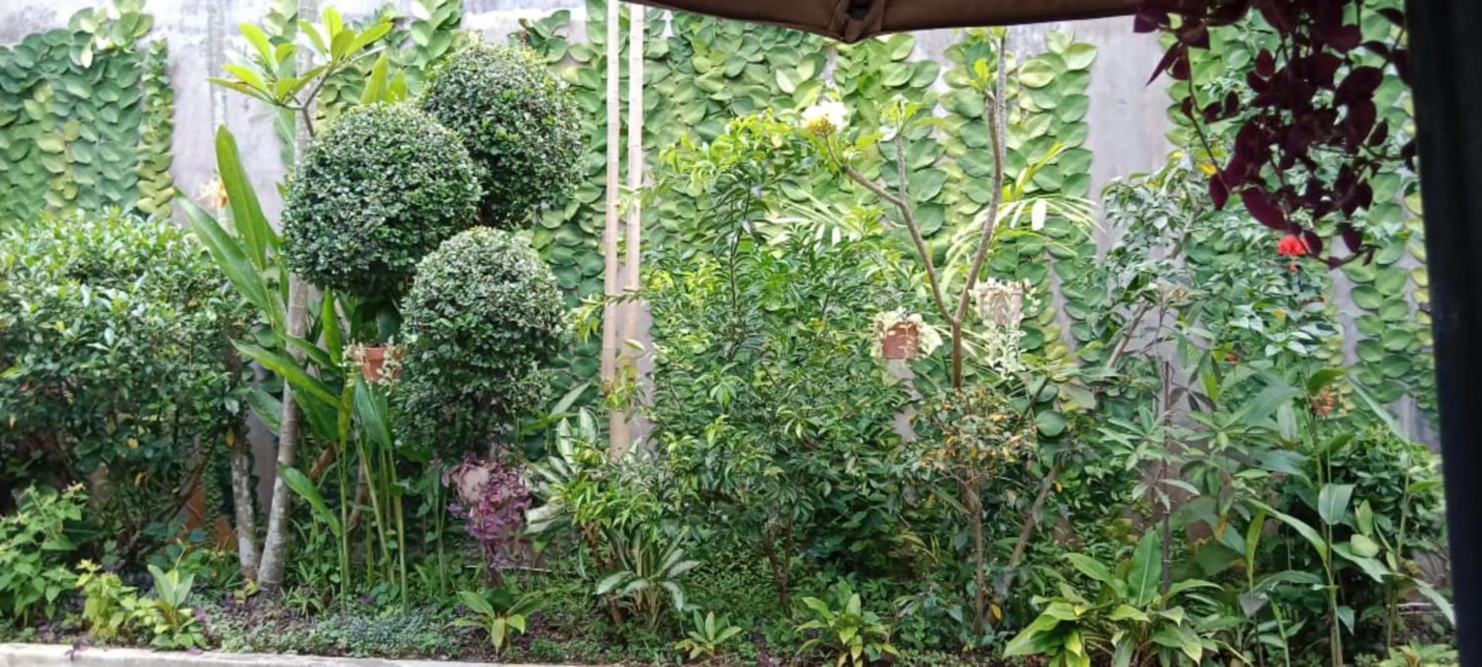 Day in Coliving Bali SWEET HOME Kost Lengkap di Tabanan Kota