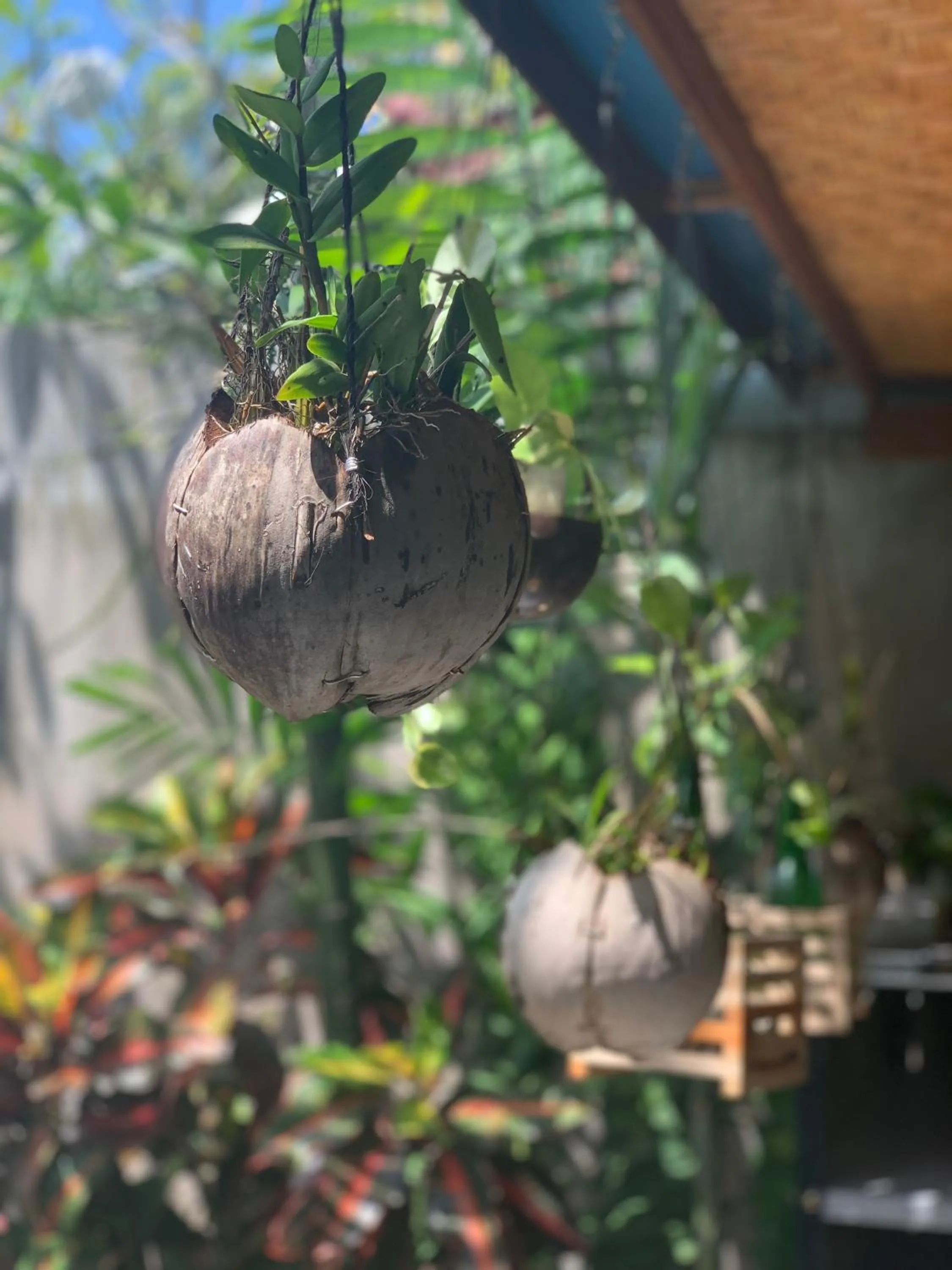 Patio in Coliving Bali SWEET HOME Kost Lengkap di Tabanan Kota