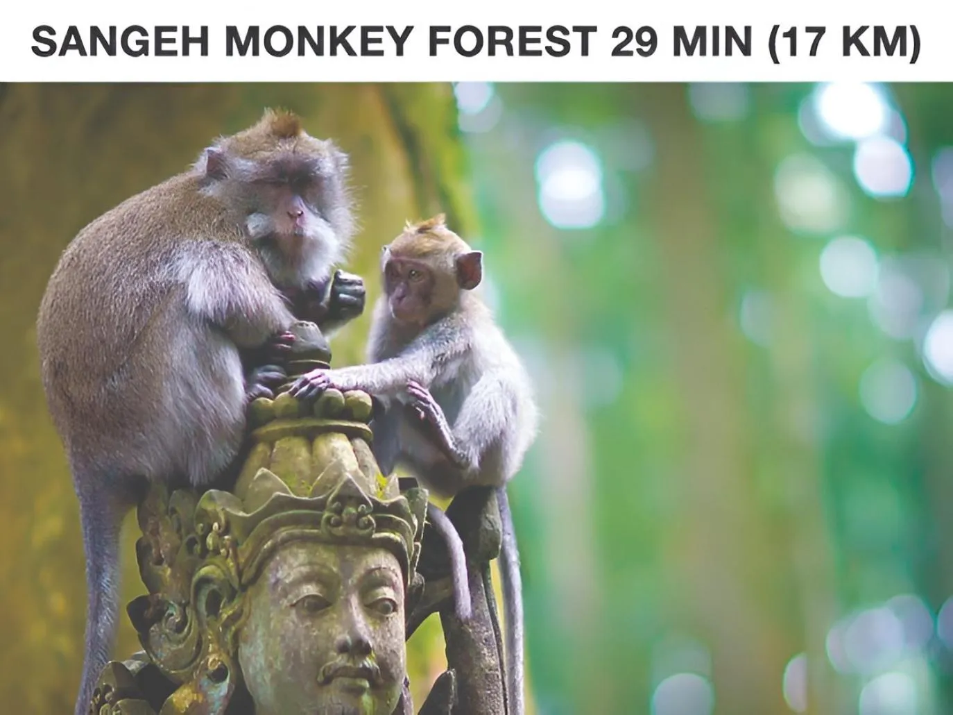 Nearby landmark in Coliving Bali SWEET HOME Kost Lengkap di Tabanan Kota