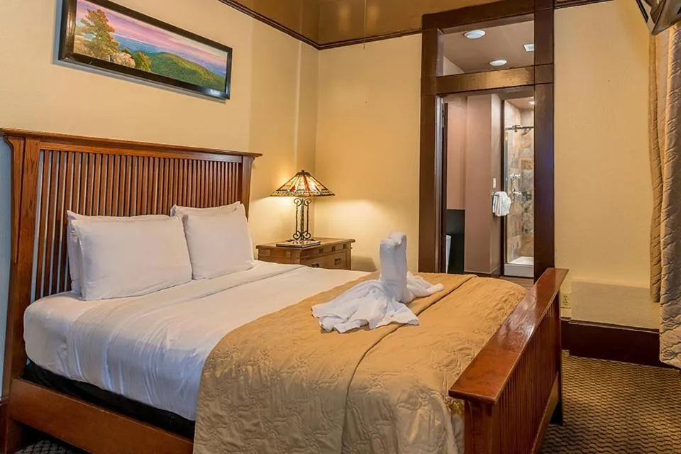Bed in 1905 Basin Park Hotel