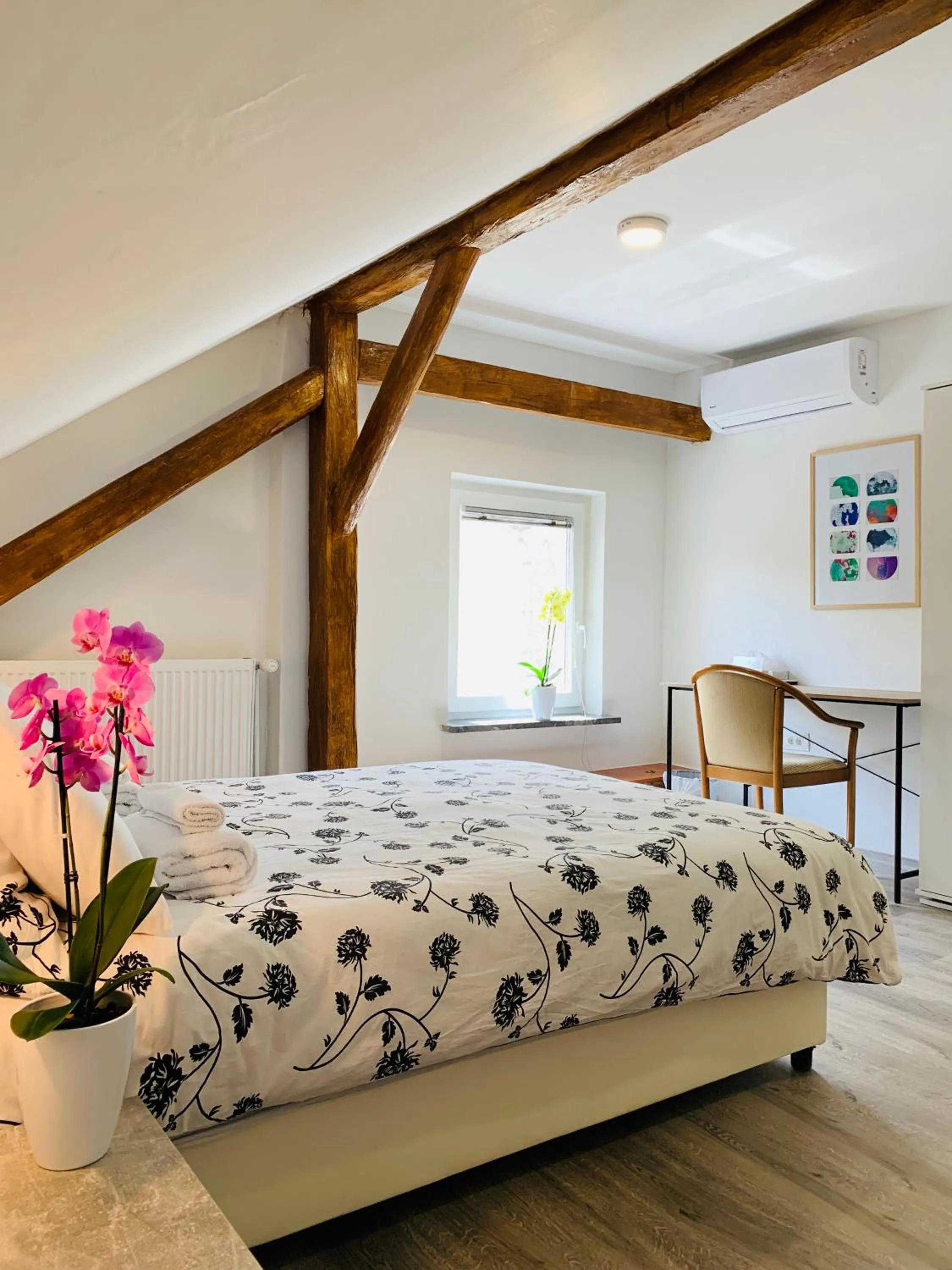 Comfort Double Room with shared bathroom - Attic in Lina Rooms Hostel