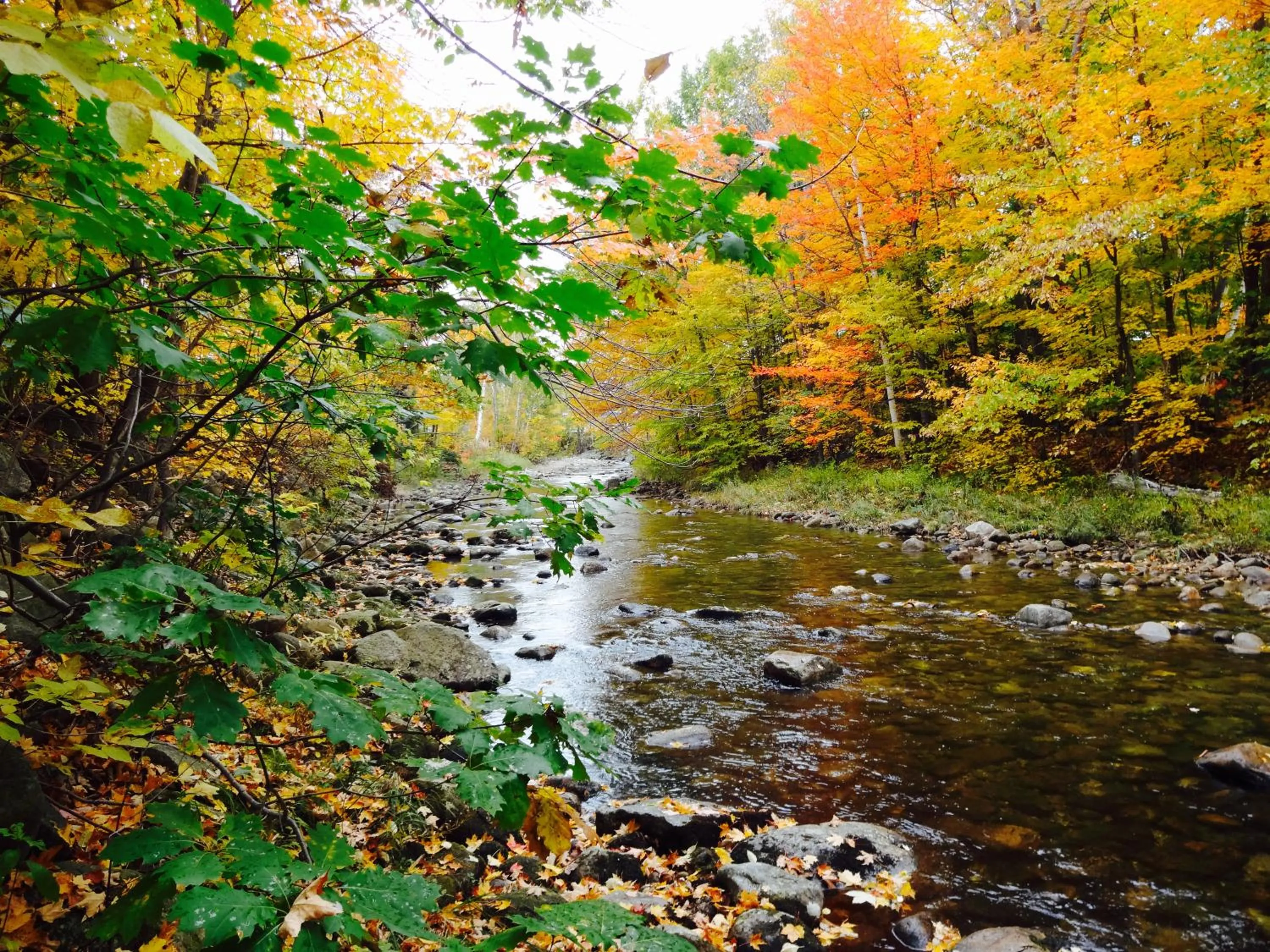 Nearby landmark in Gorham Motor Inn