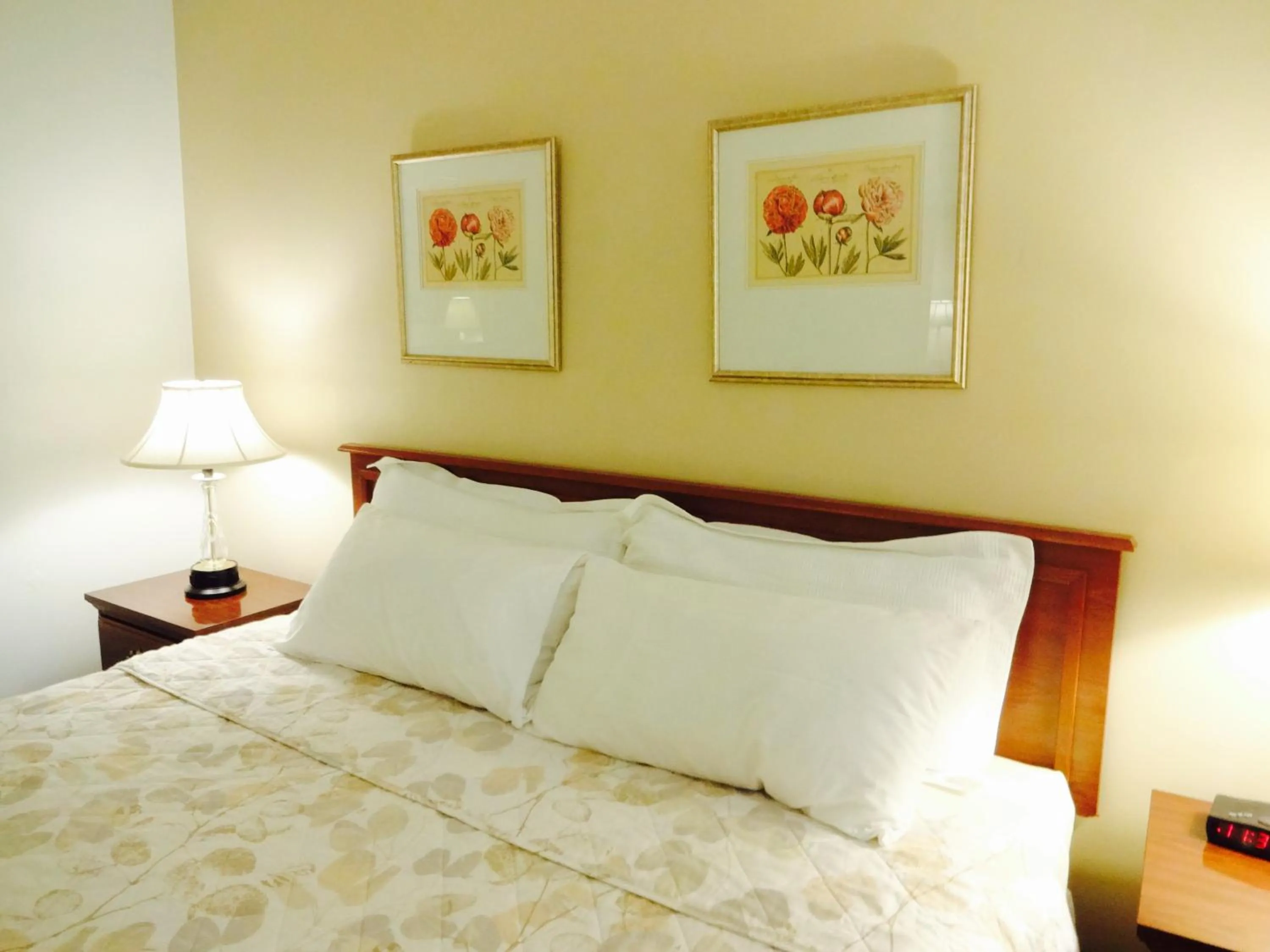 Mountain view, Bed in Gorham Motor Inn