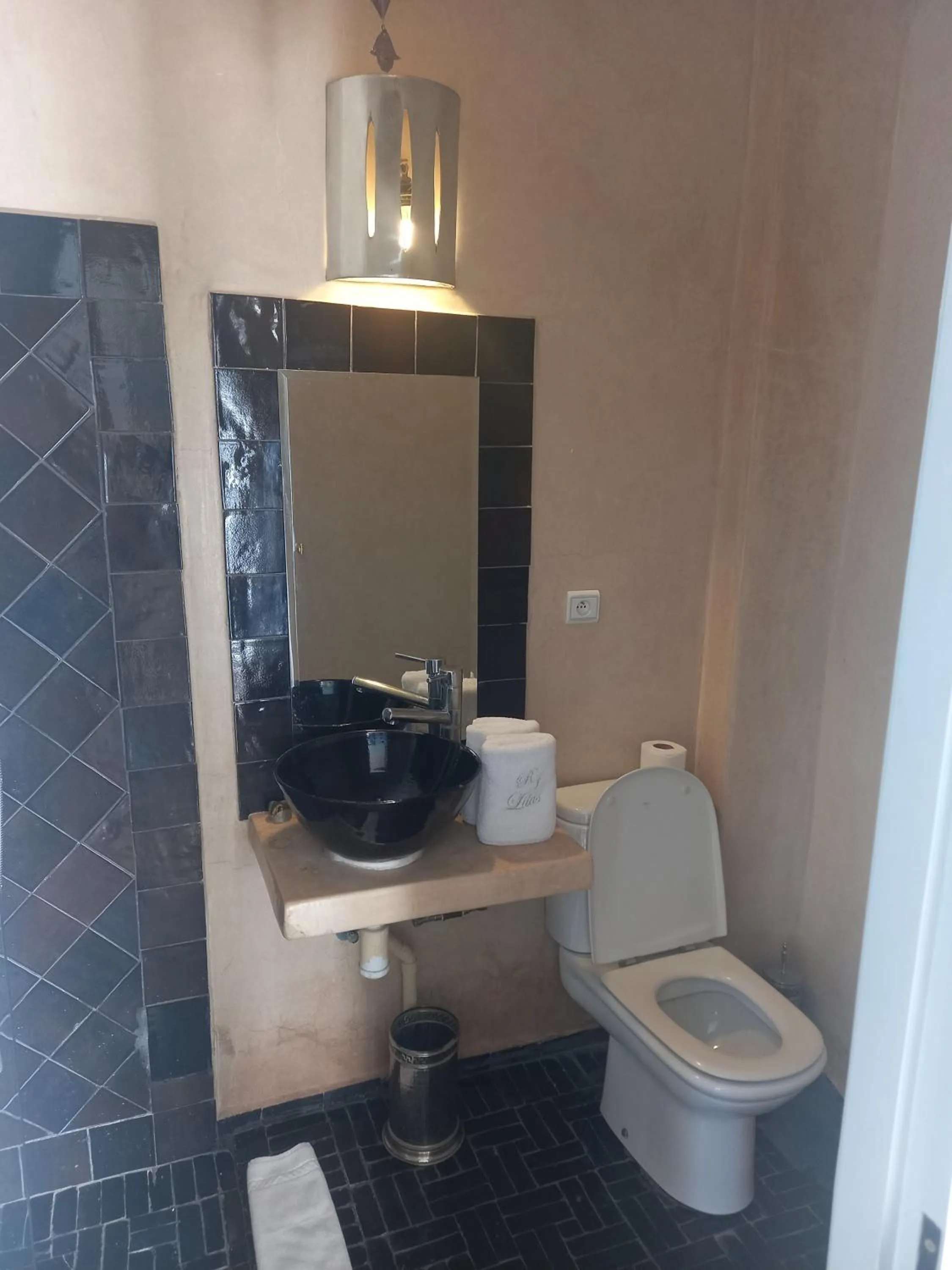 Toilet in Riad Les Jardins des Lilas