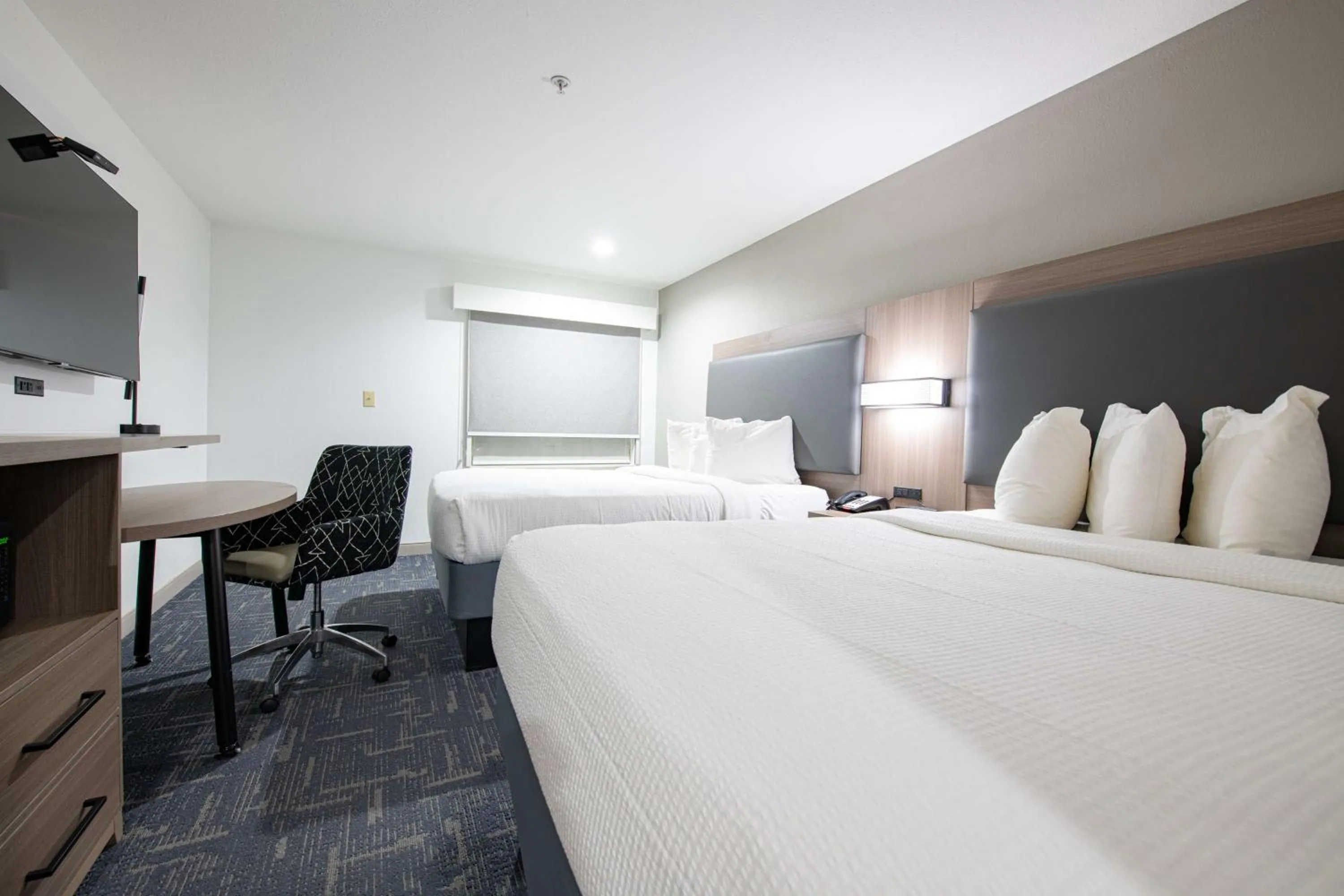 Photo of the whole room, Bed in Best Western Lafayette Inn