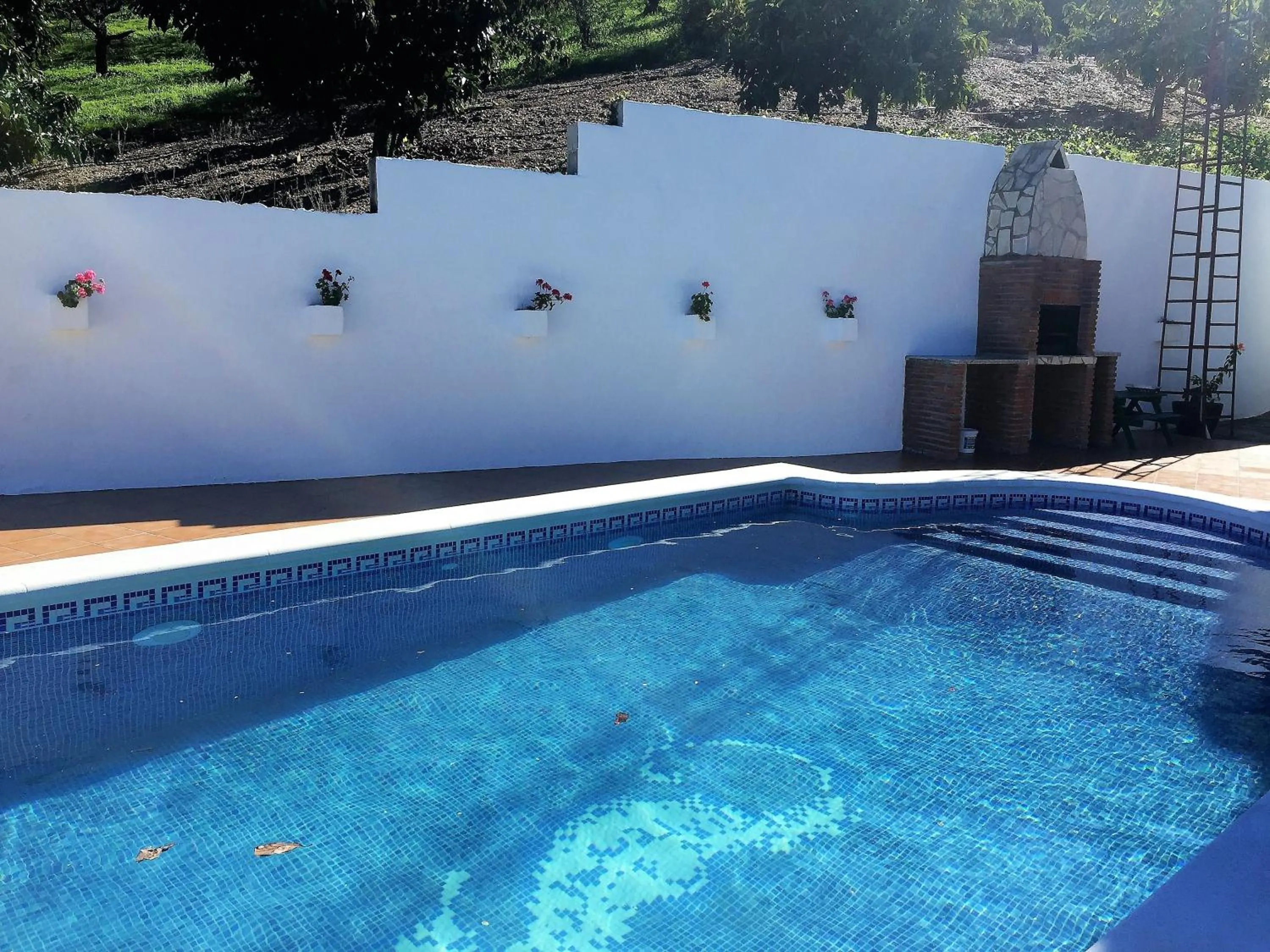 Swimming pool in Casa las Torres B&B