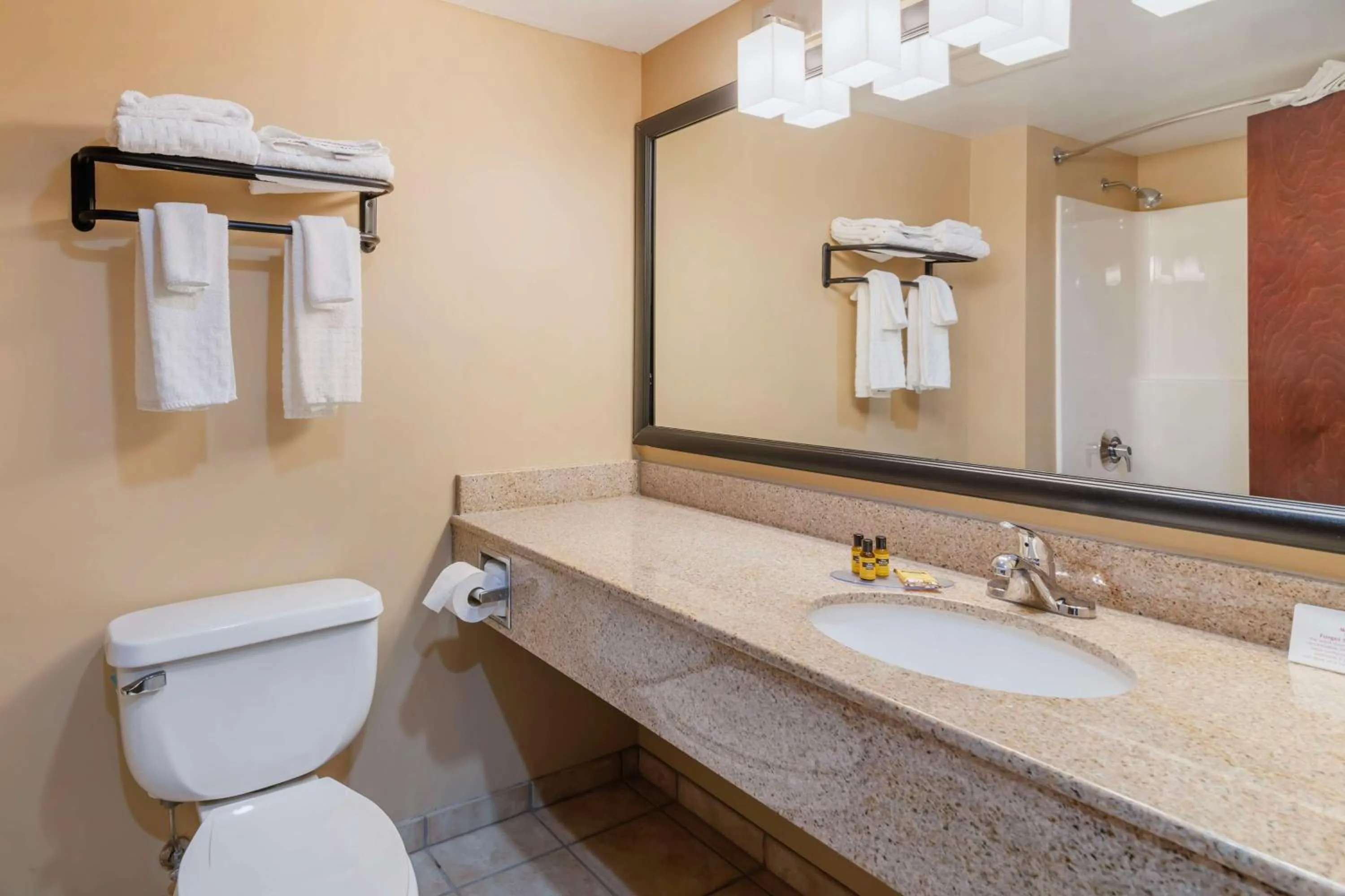 Bathroom in Best Western Liverpool-Syracuse Inn & Suites