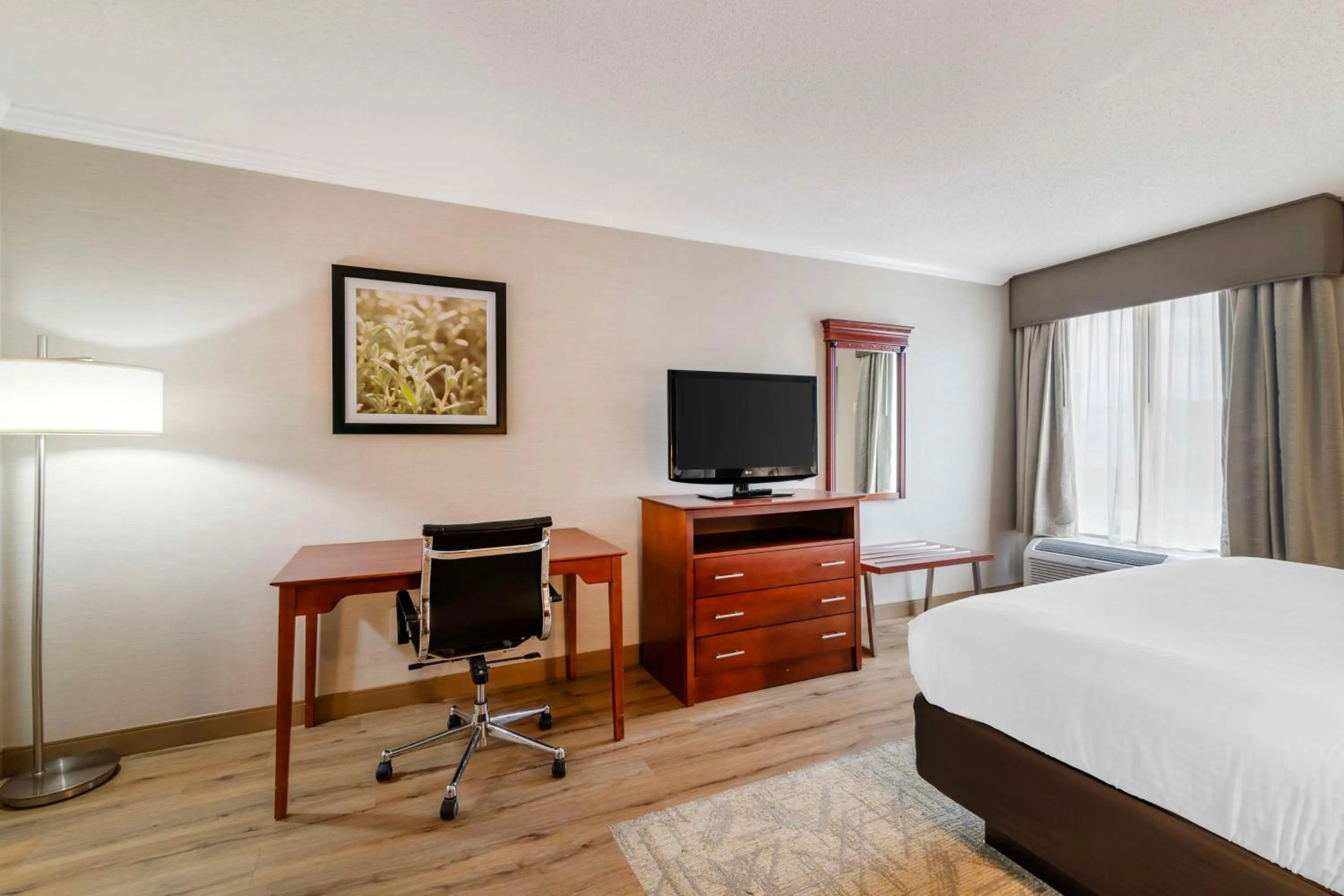 Bedroom, Bed in Best Western Liverpool-Syracuse Inn & Suites