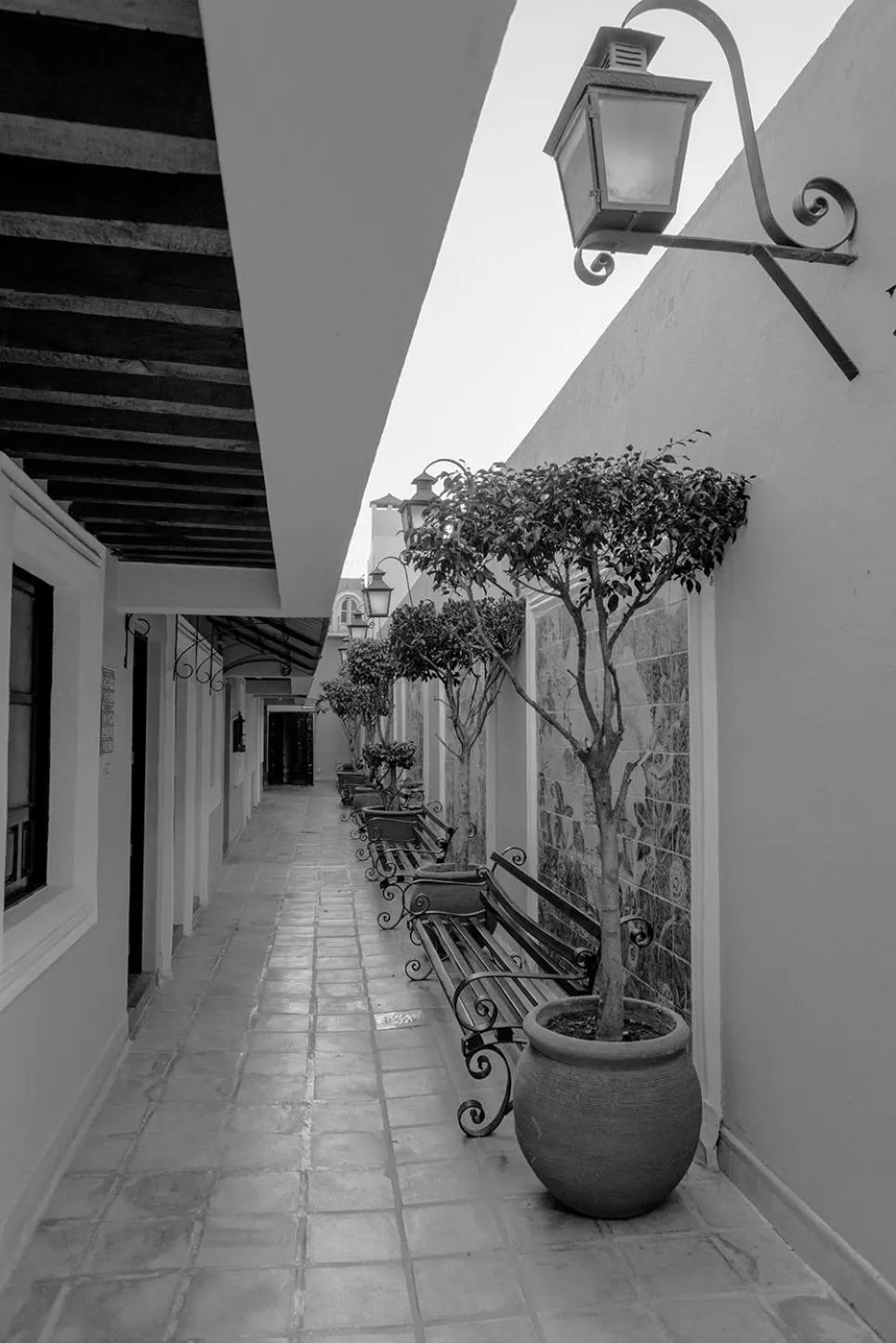 Patio in Hotel La Morada