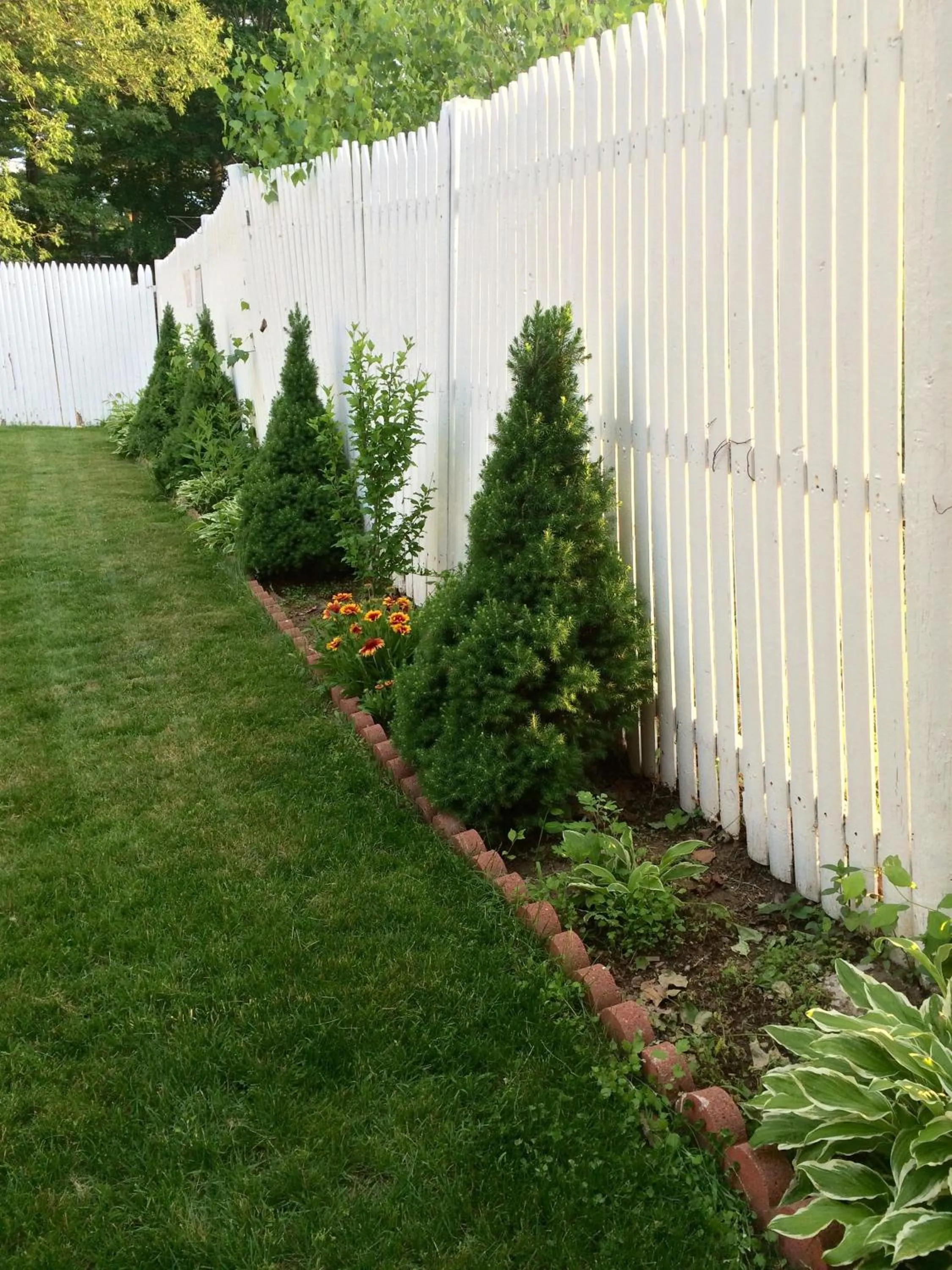 Swimming pool in Northeaster Motel