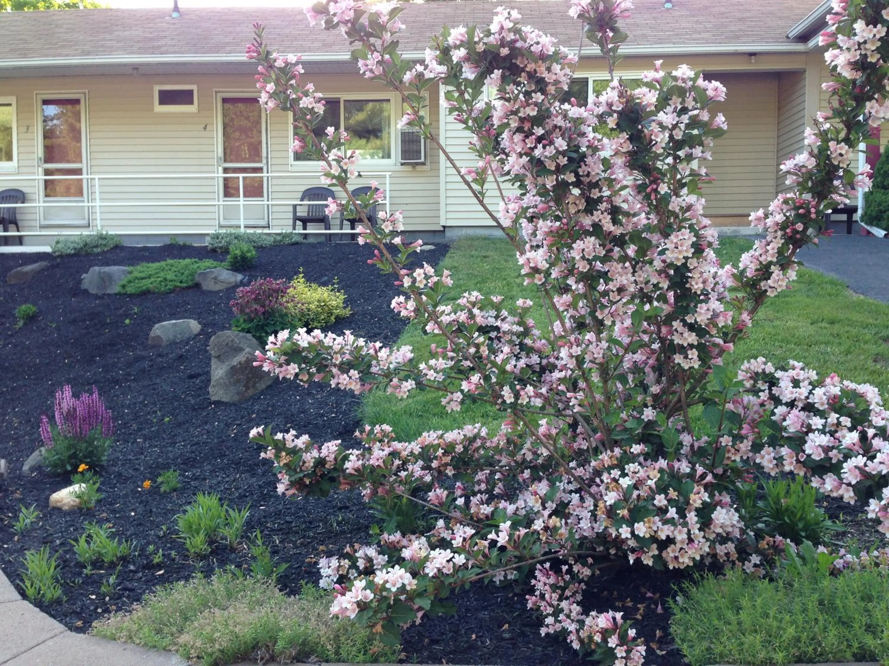 Garden view in Northeaster Motel