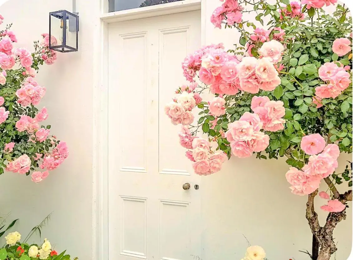 Property building in Clonmara Country House and Cottages