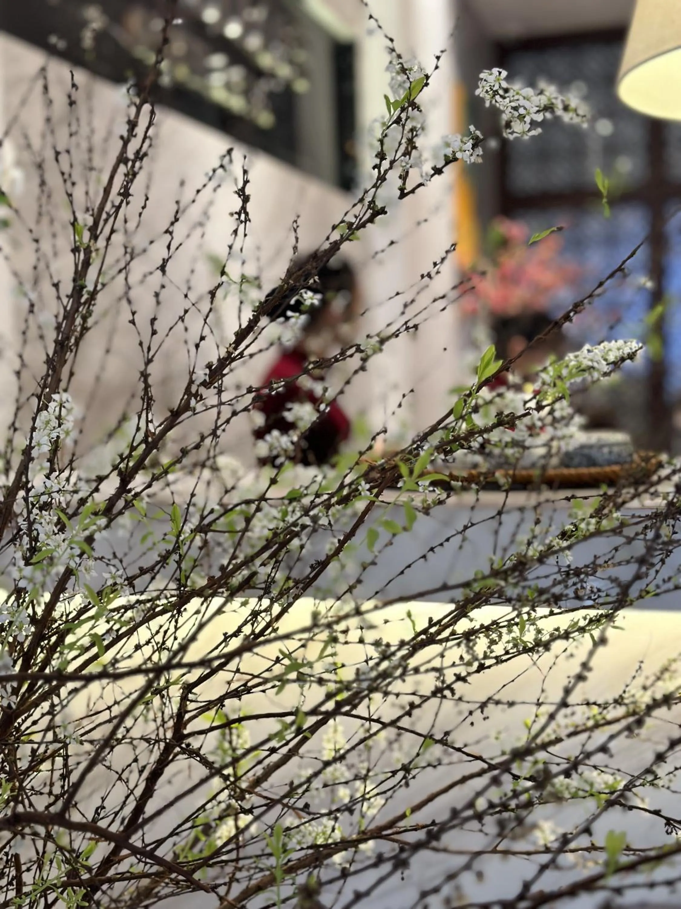 Lobby or reception in Hanoi Marvellous Hotel & Spa