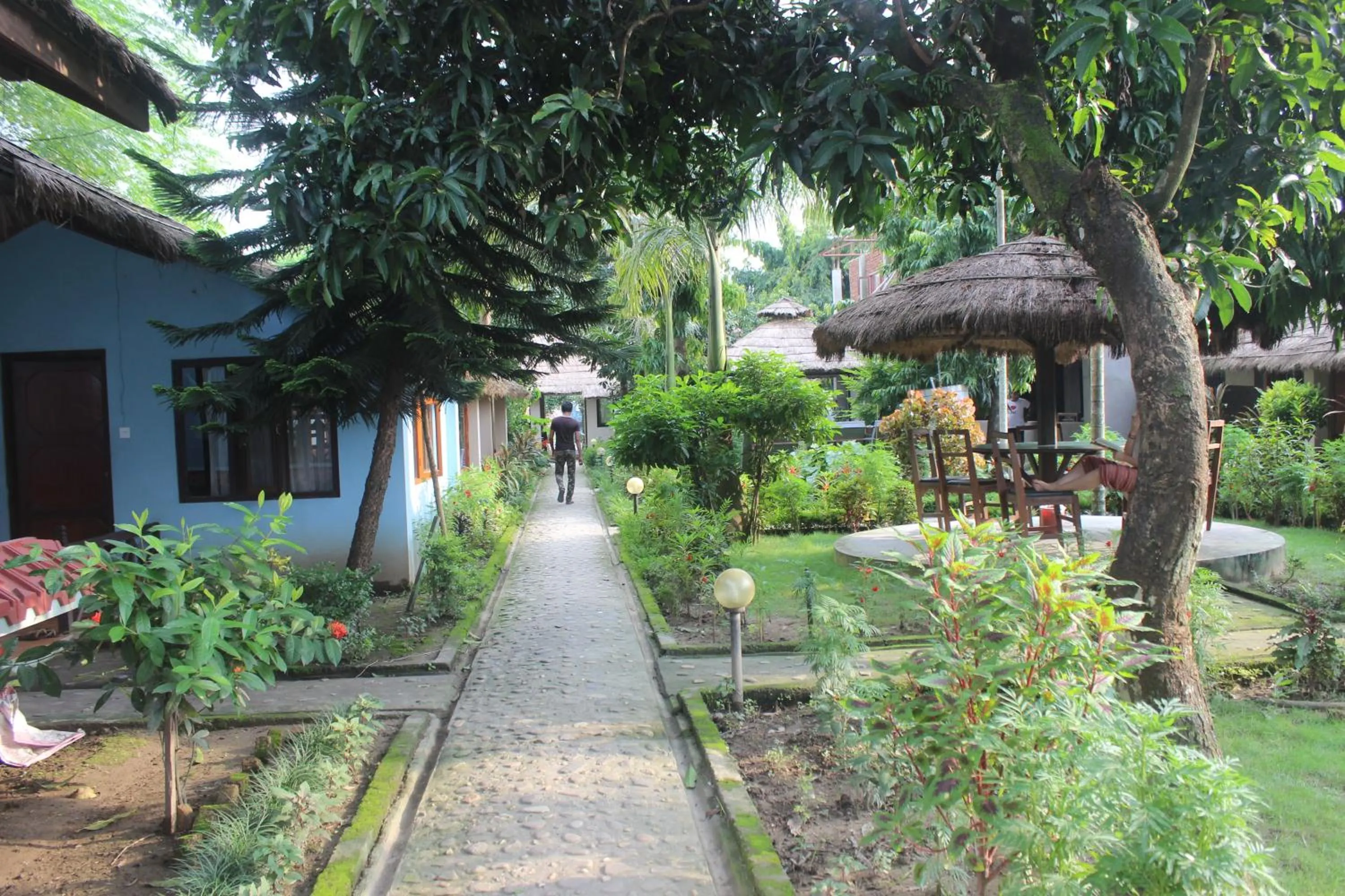 Natural landscape in Chitwan Forest Resort with swimming pool , Chitwan National Park