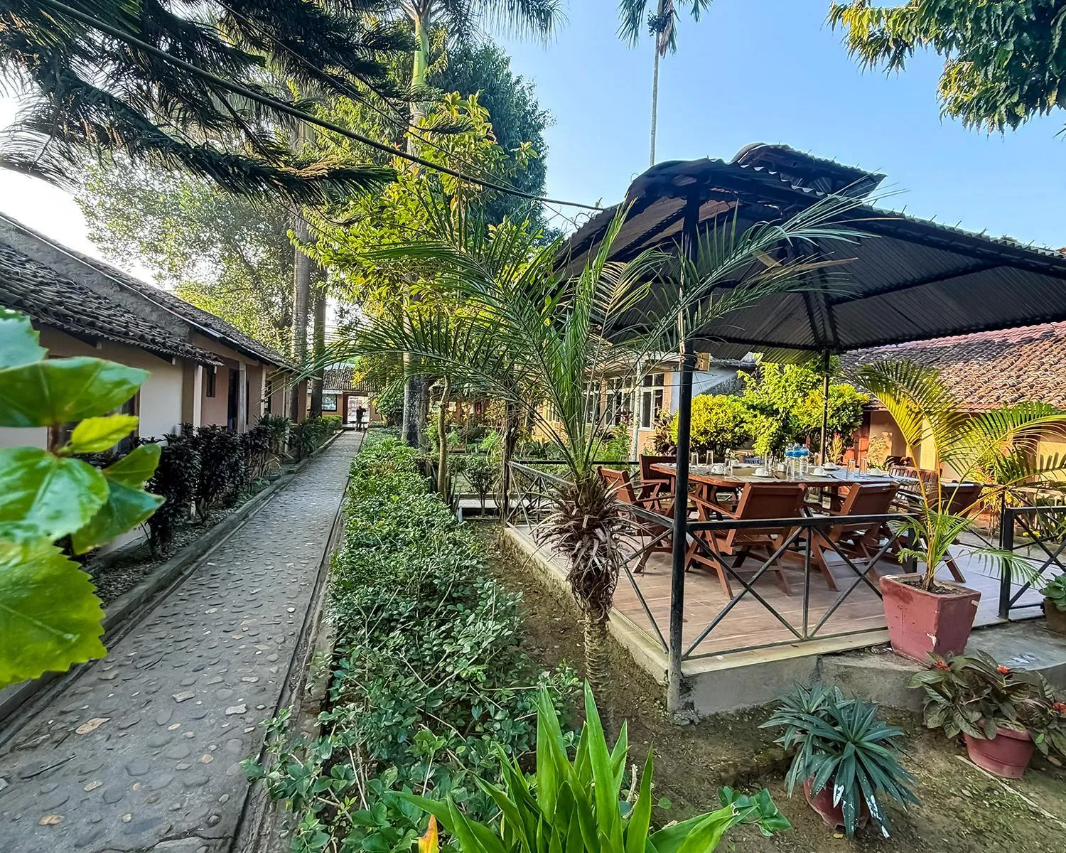 Garden in Chitwan Forest Resort with swimming pool , Chitwan National Park