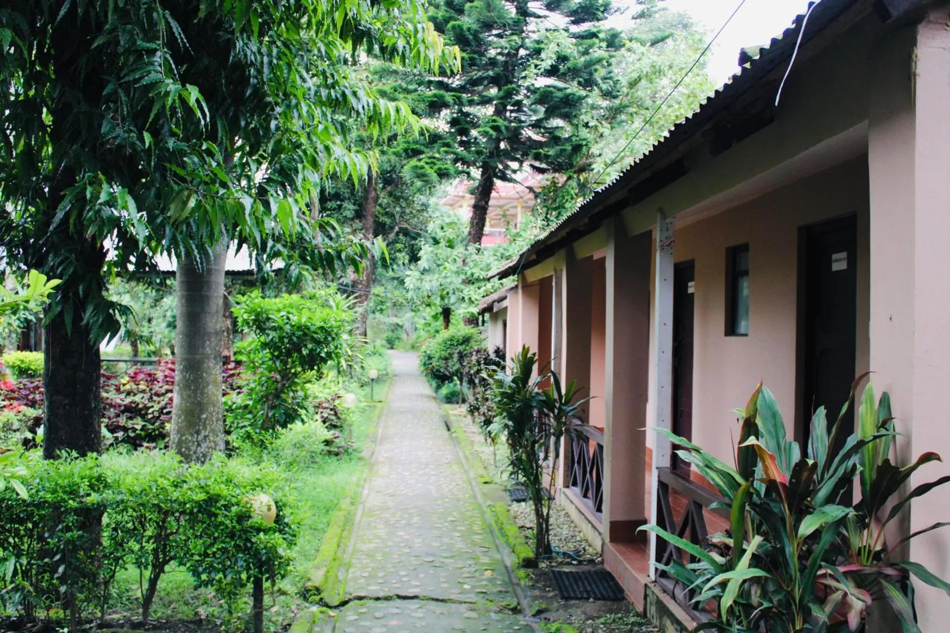 Garden in Chitwan Forest Resort with swimming pool , Chitwan National Park
