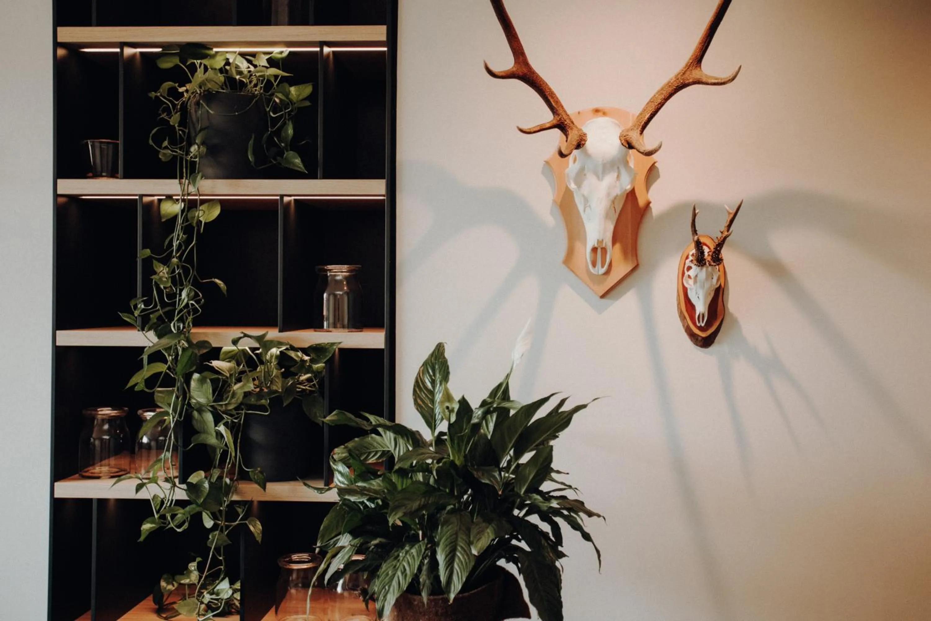 Lobby or reception in Langwies Genussherberge