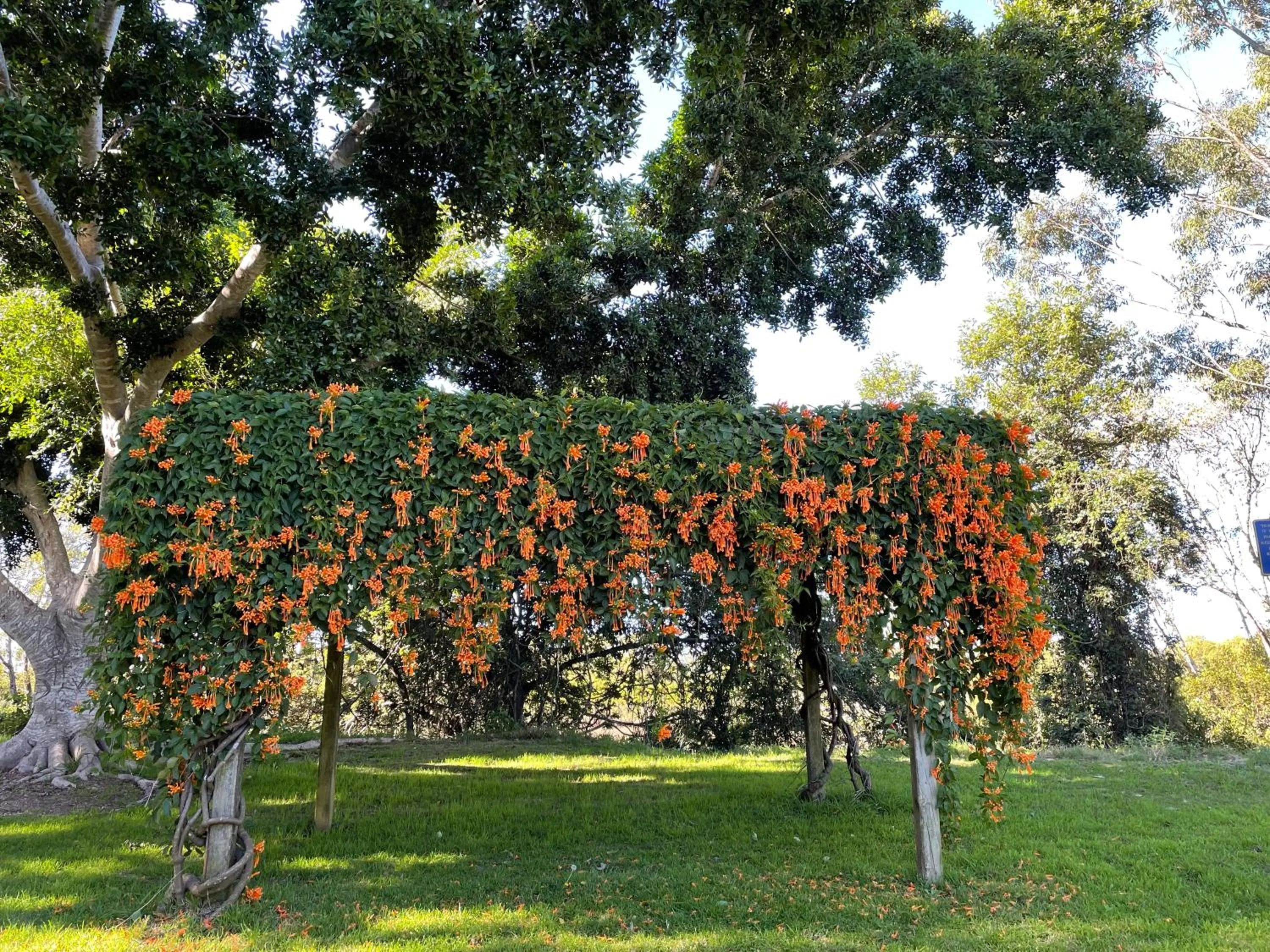 Highway Motor Inn Taree