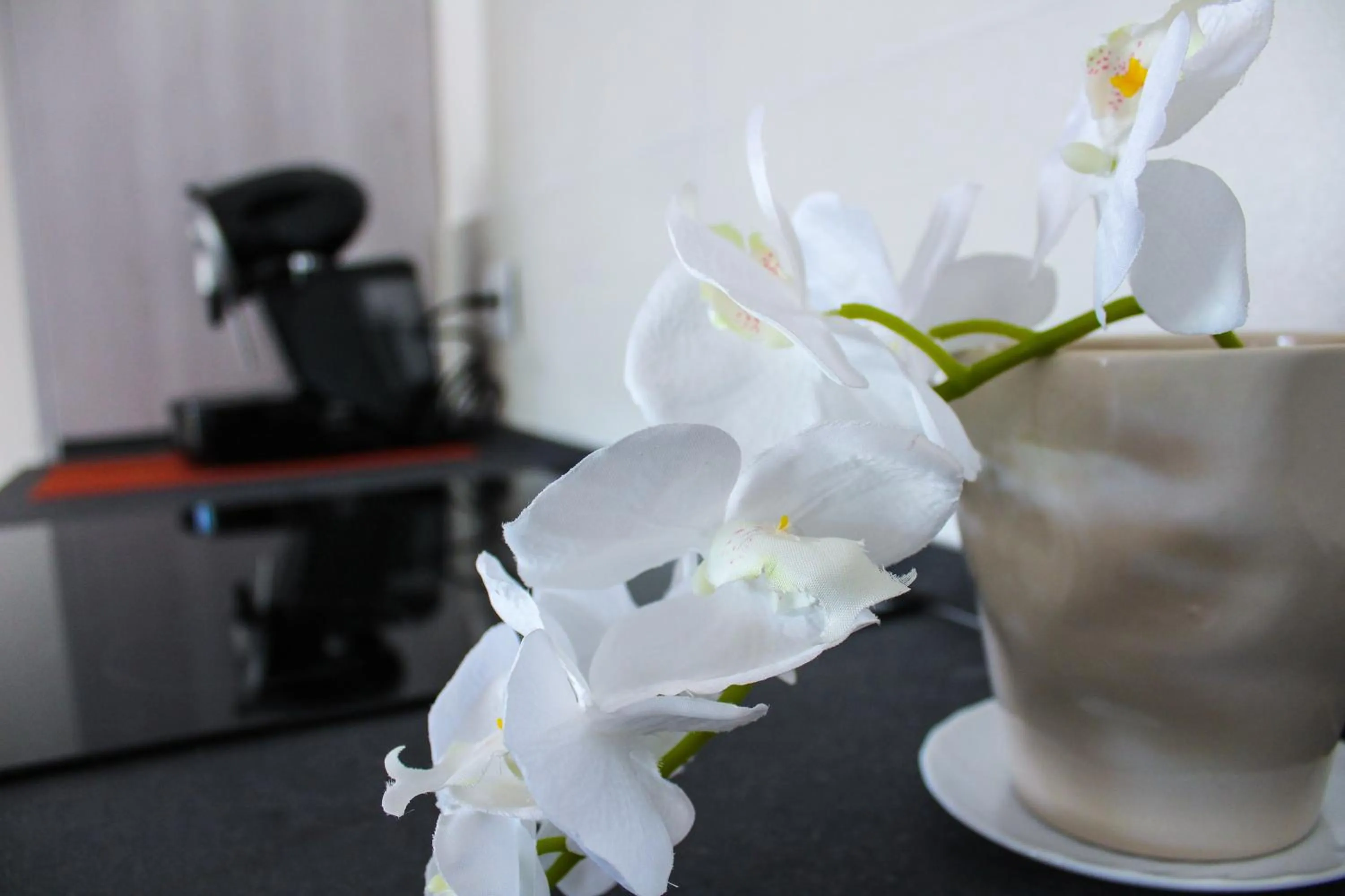 B&B L'arte è di casa